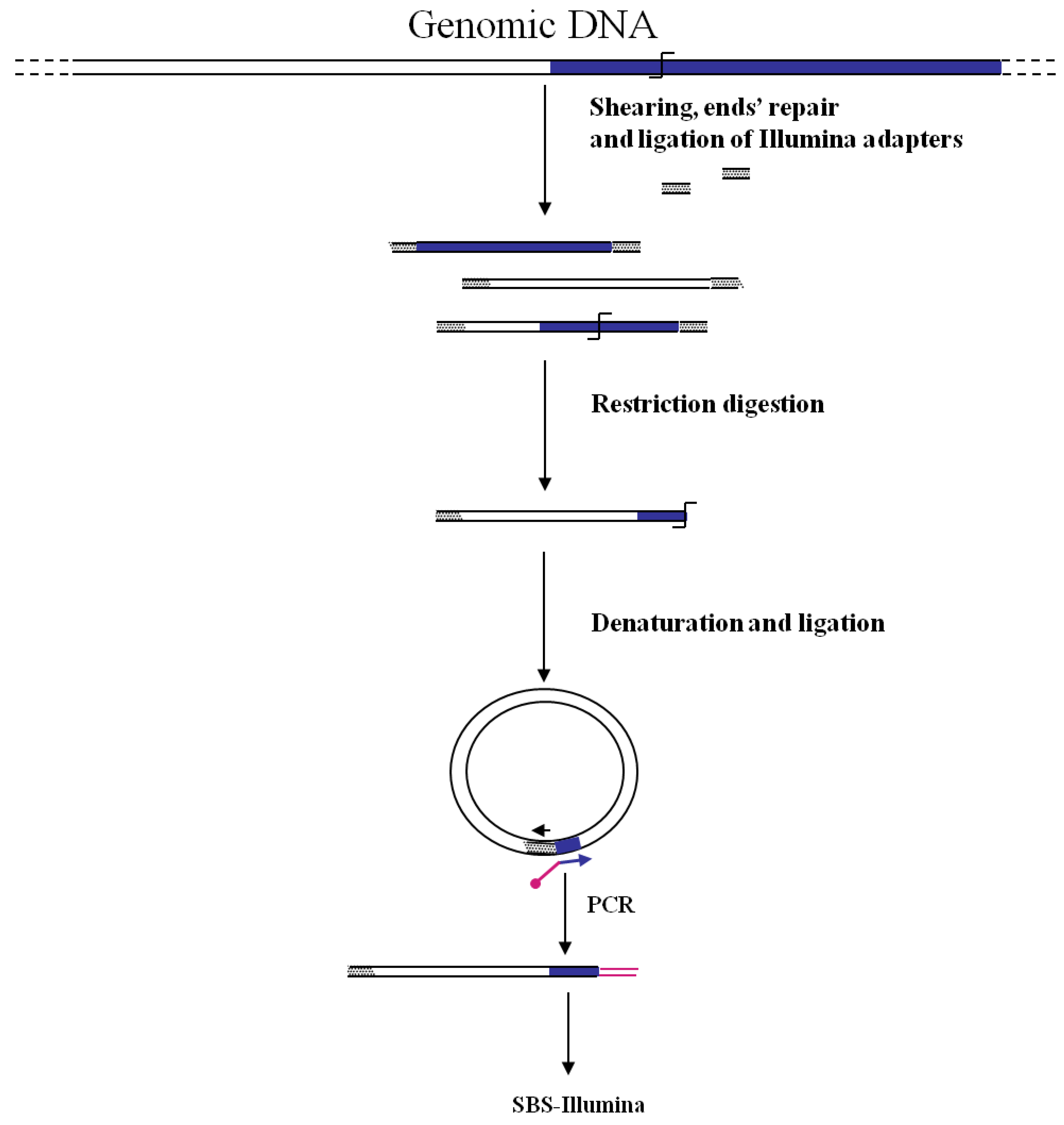 Biology 01 00495 g005