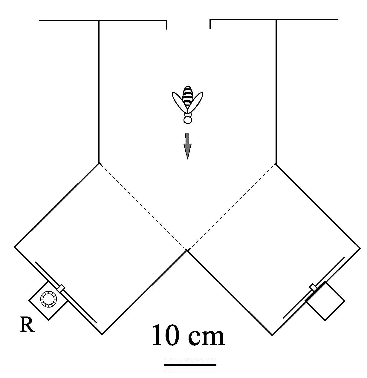 Biology 01 00508 g003 1024