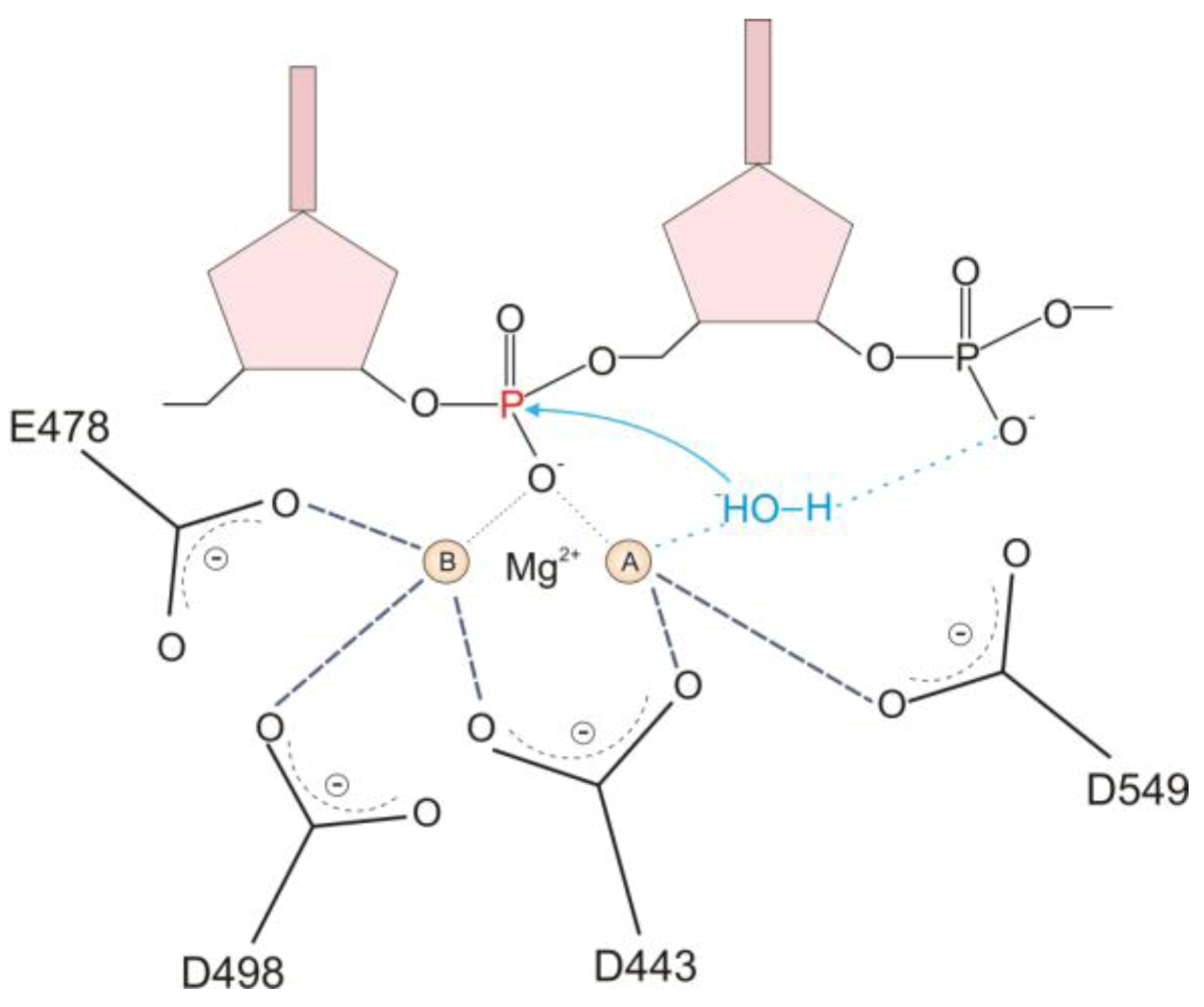 Biology 01 00521 g003