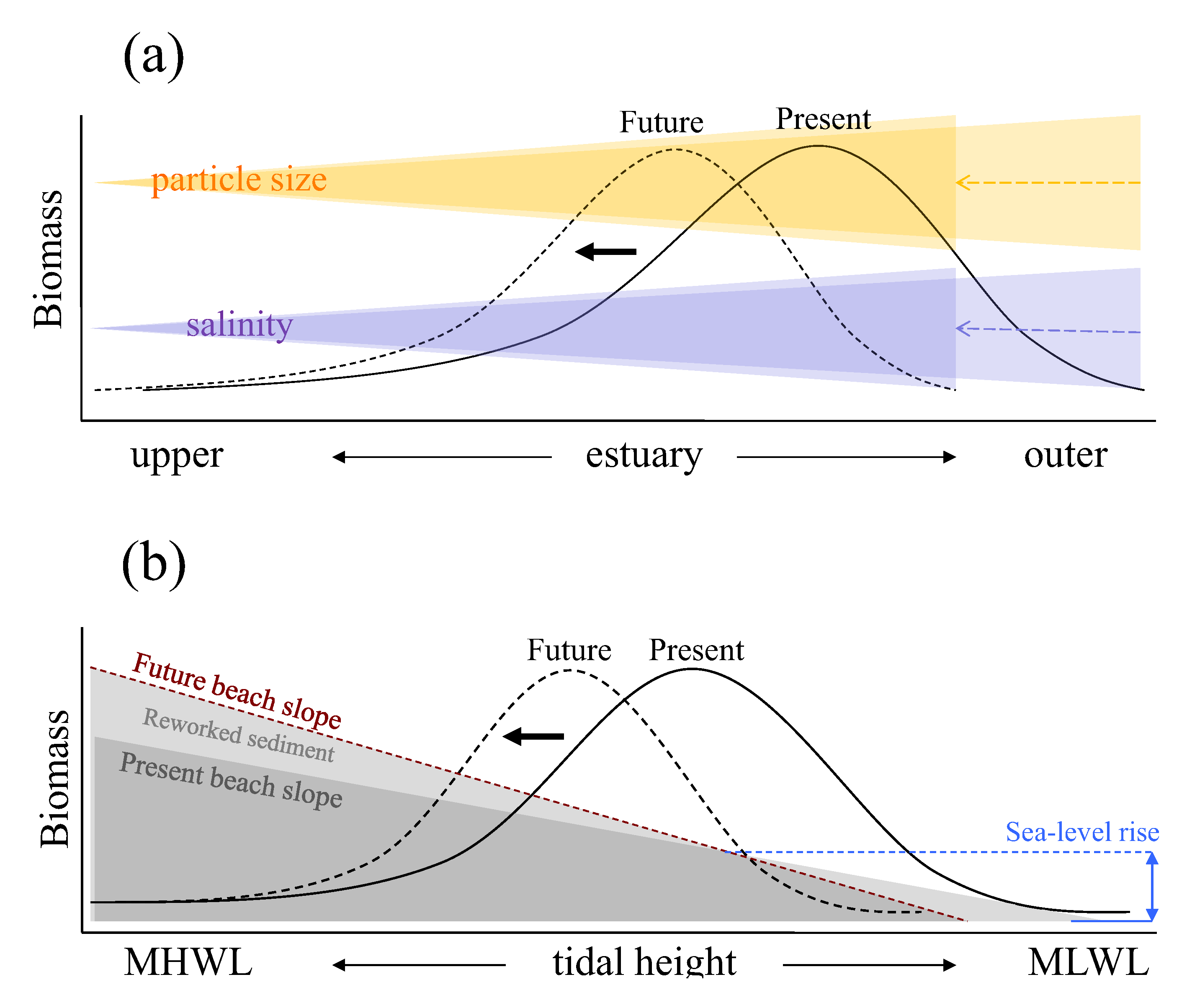 Biology 01 00597 g002 1024