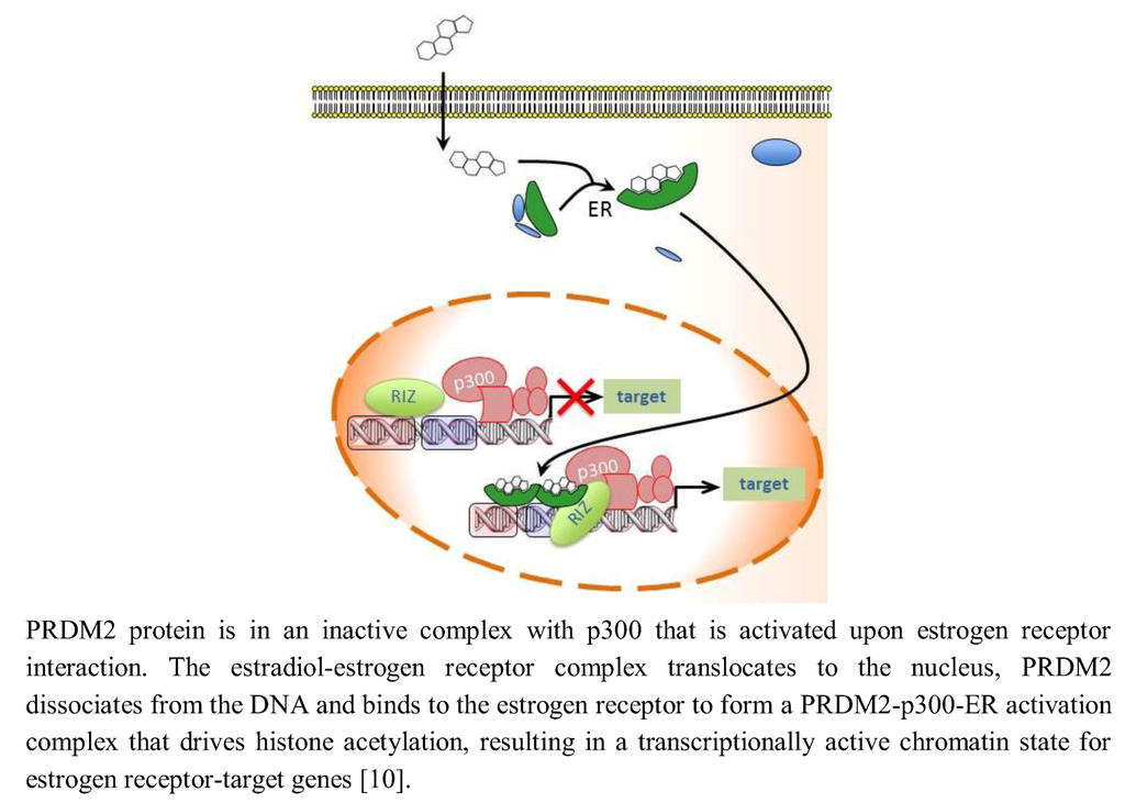 Biology, Free Full-Text