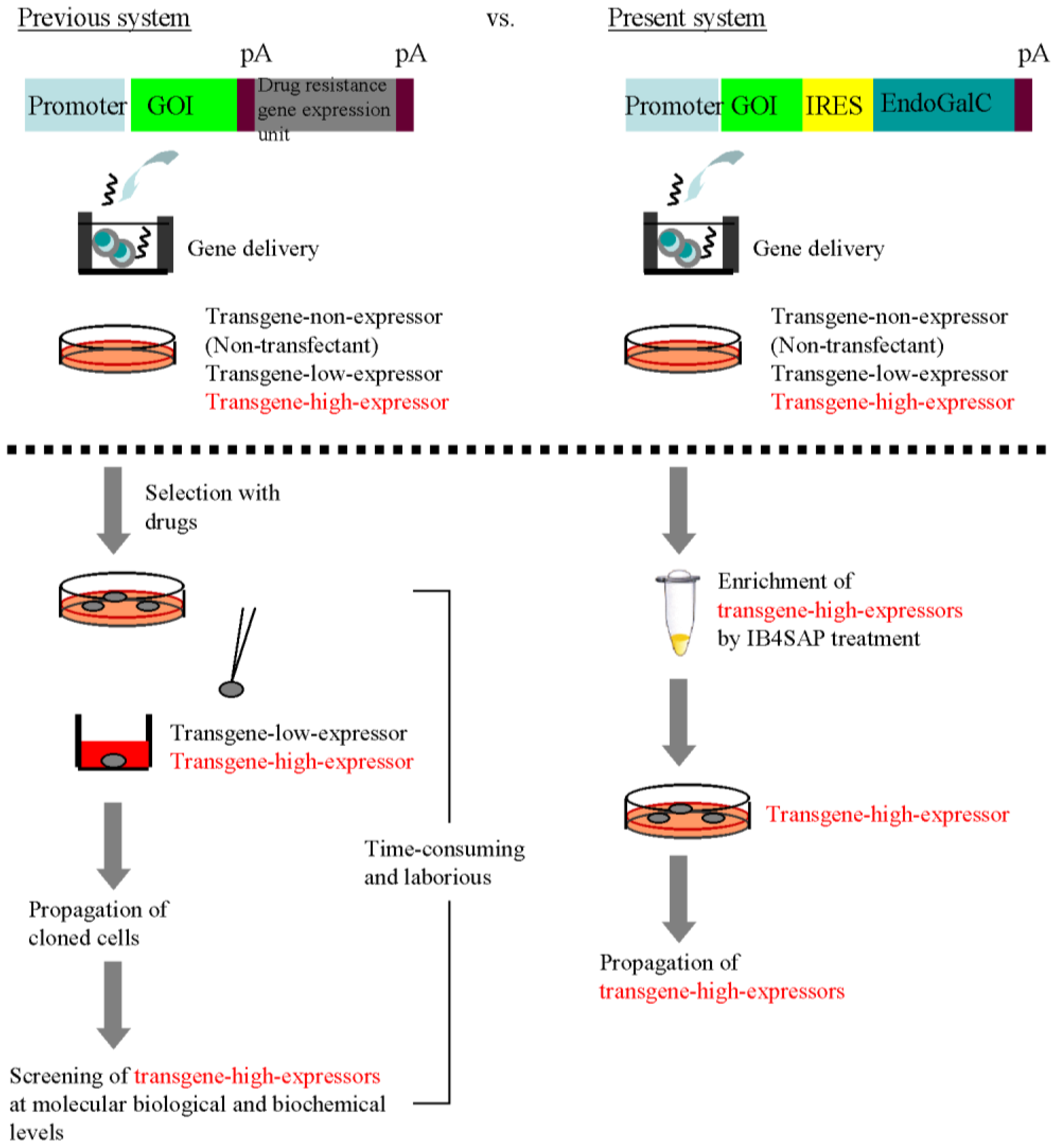 Biology 02 00341 g005 1024