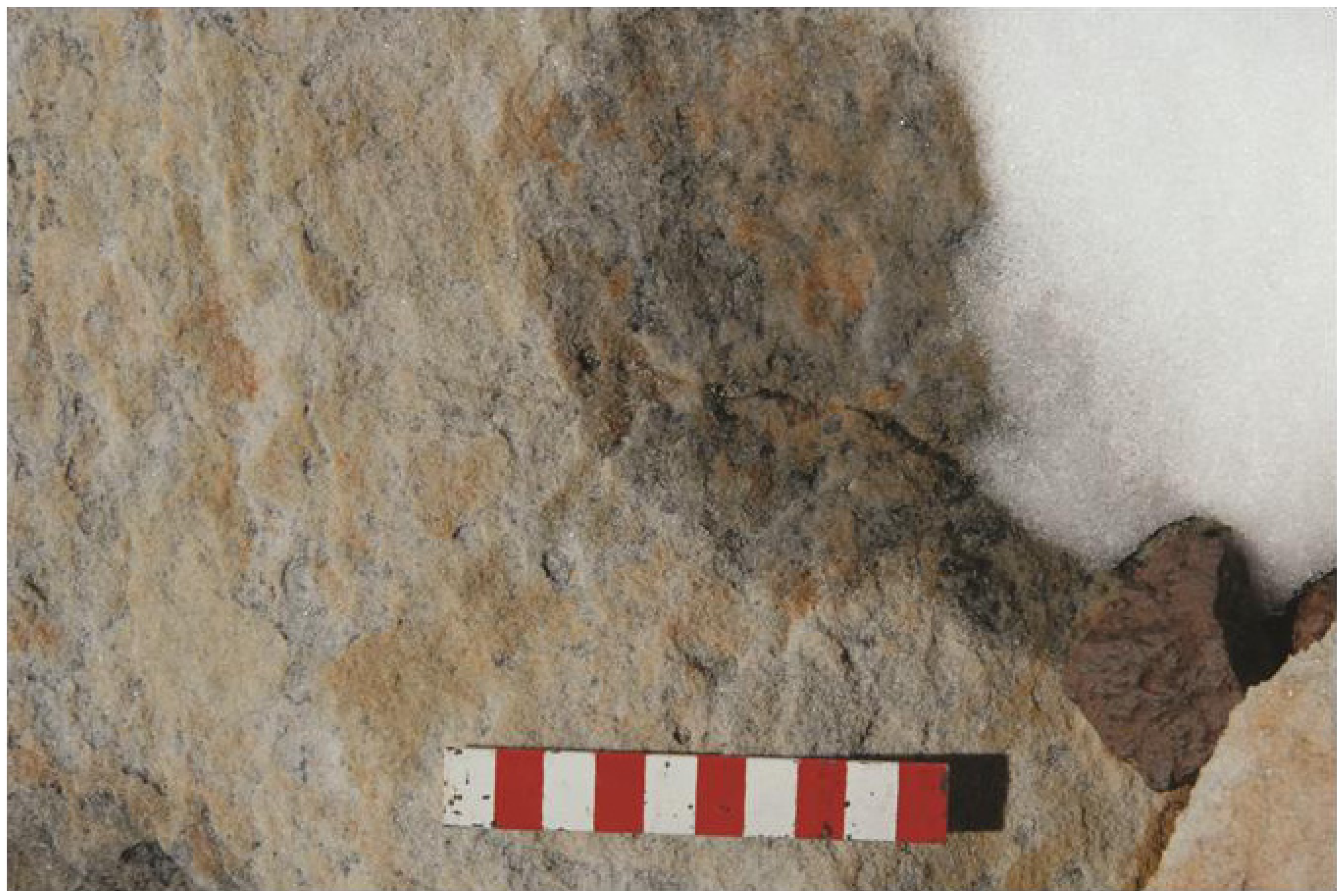 Biology 02 00693 g002 1024