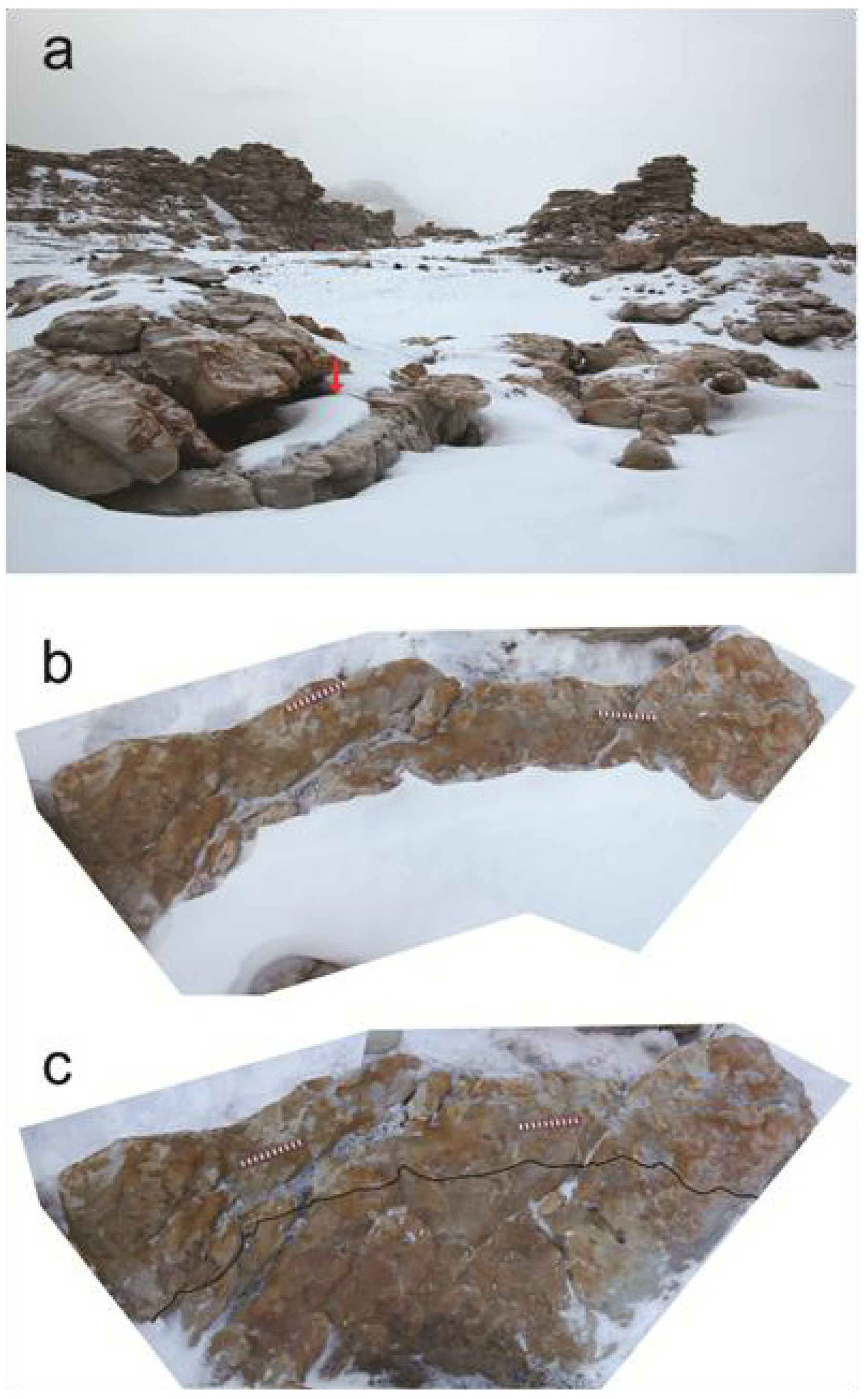 Biology 02 00693 g005 1024
