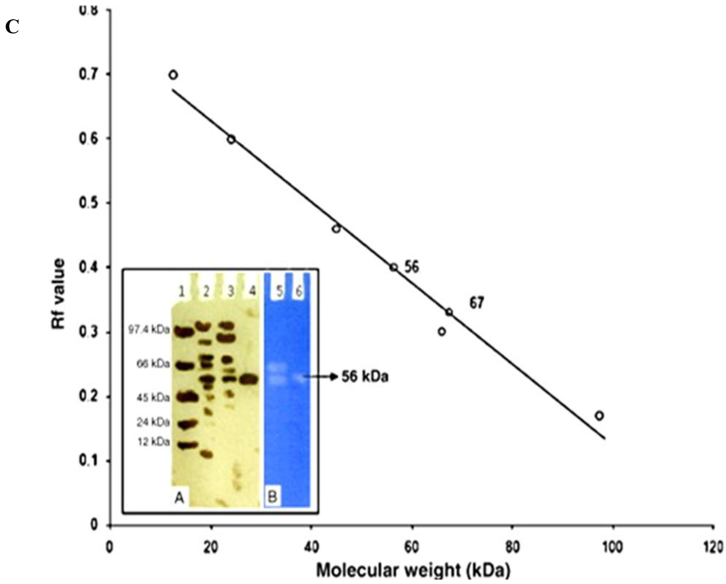 Biology 02 00755 g001