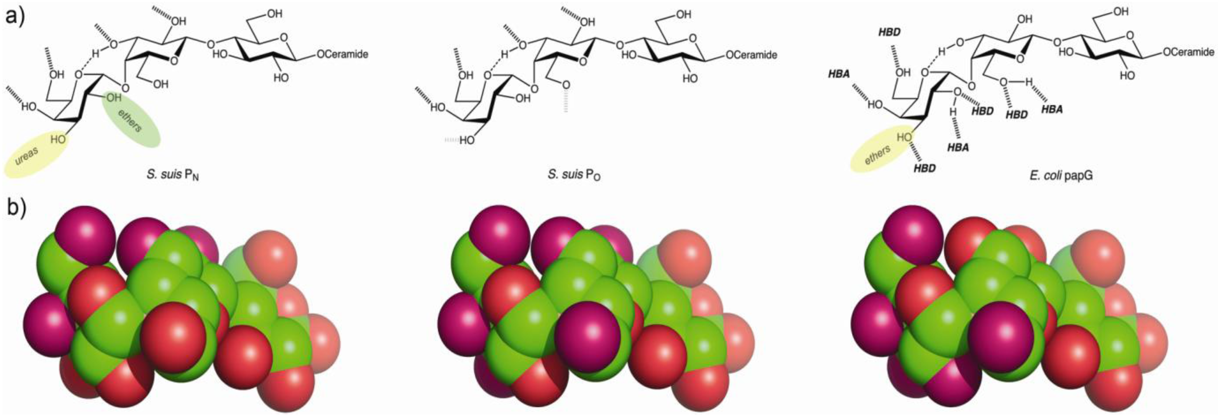 Biology 02 00918 g001 1024