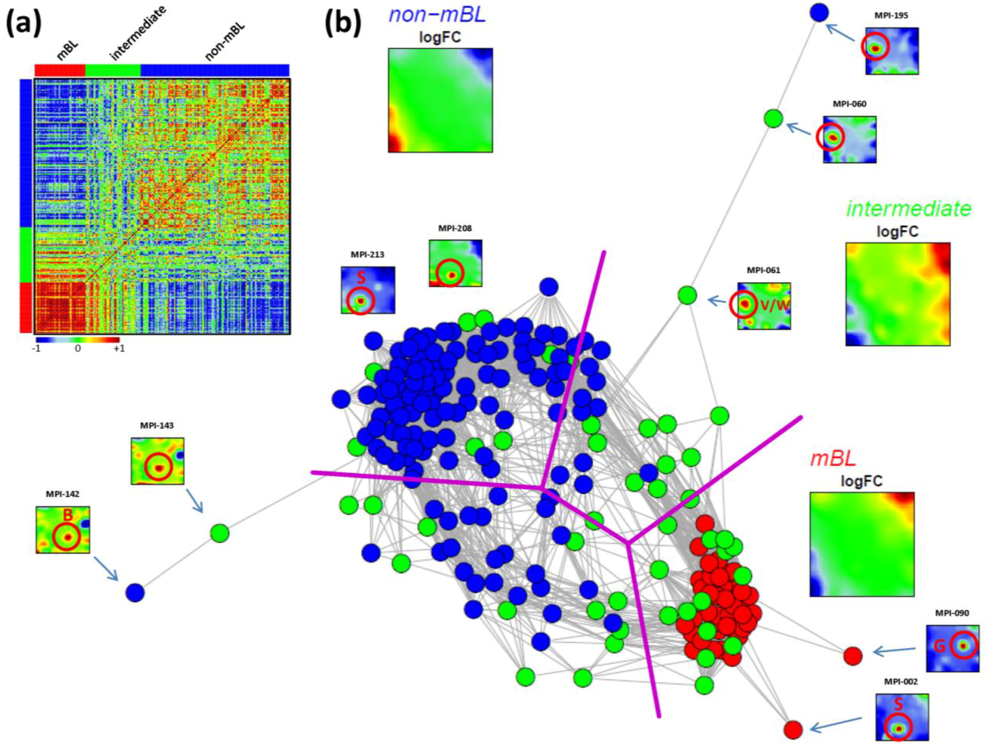 Biology 02 01411 g005 1024