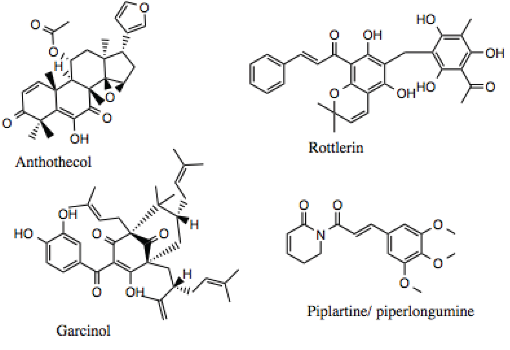 Biology 03 00101 g012 1024