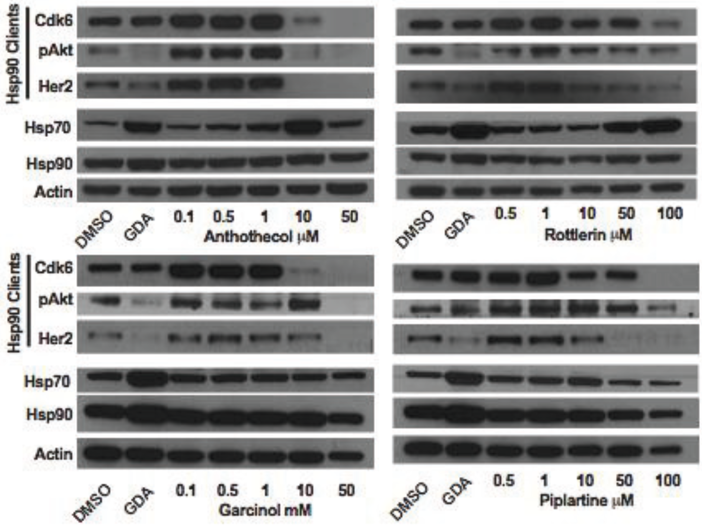Biology 03 00101 g014 1024