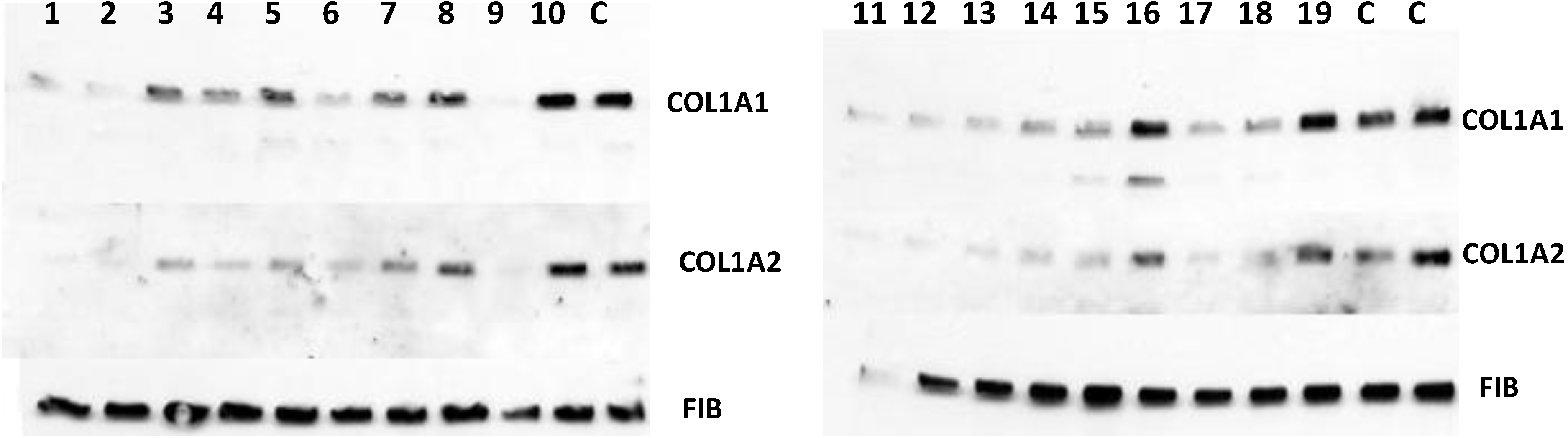 Biology 03 00281 g007 1024