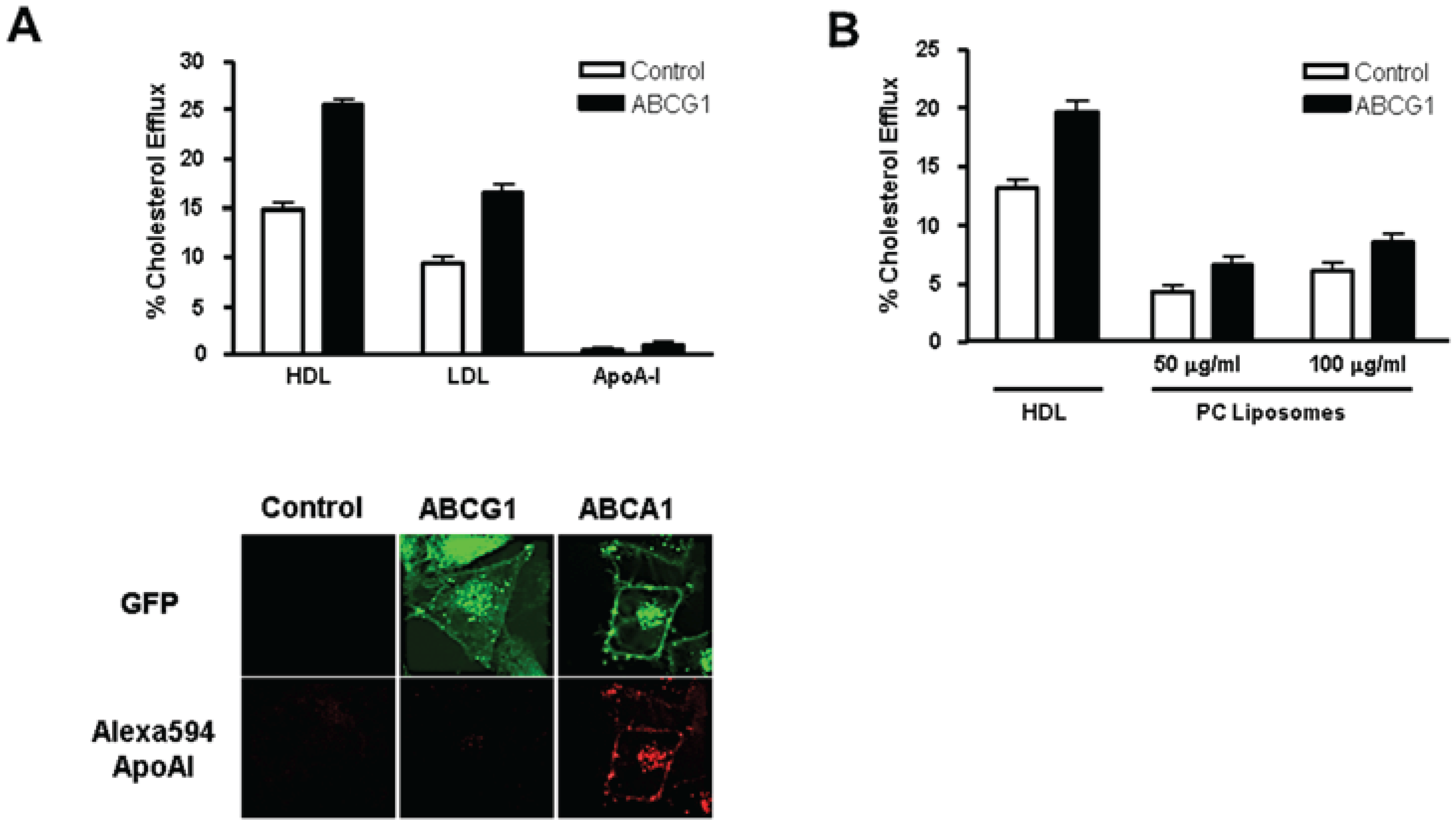 Biology 03 00781 g004