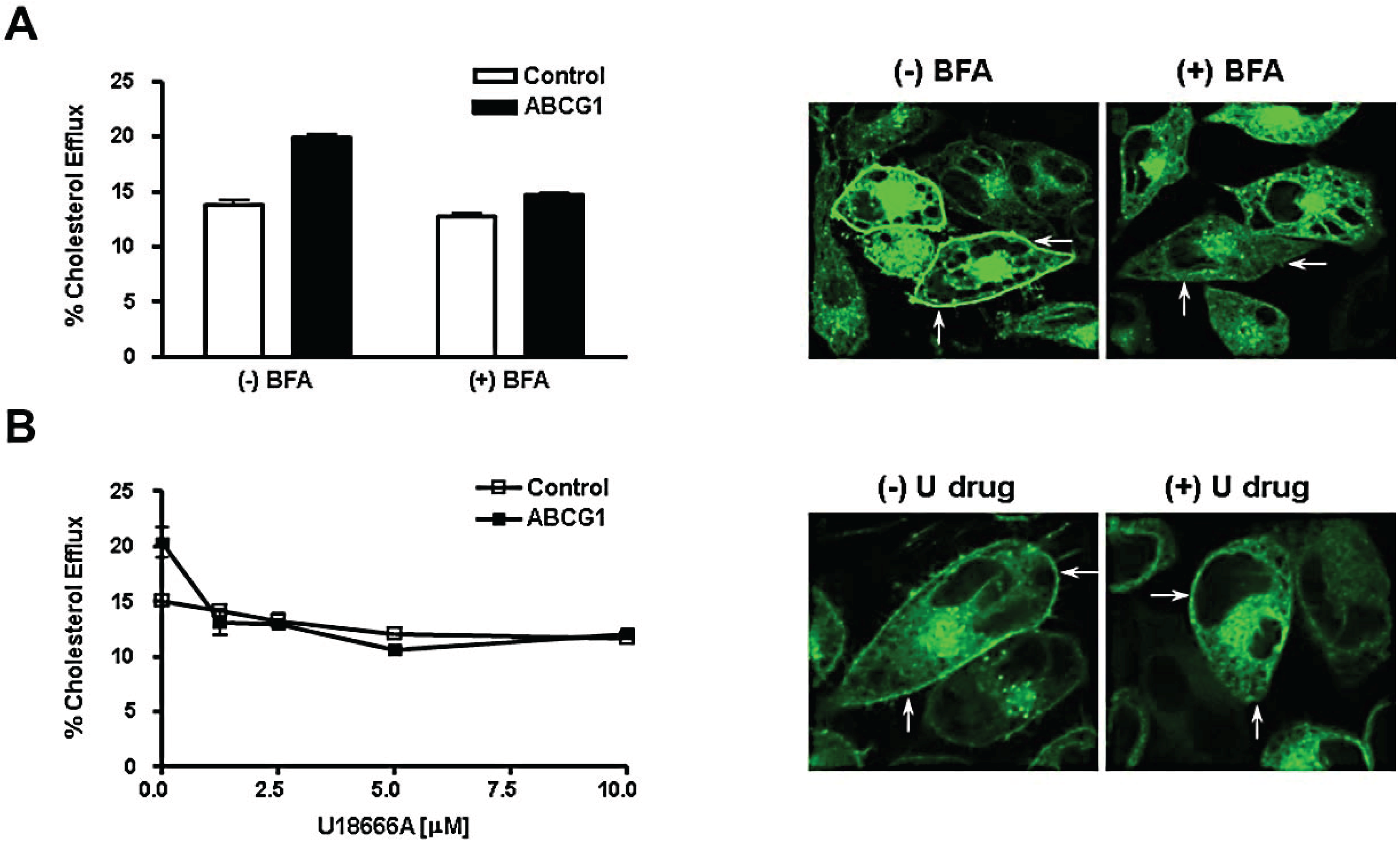 Biology 03 00781 g007