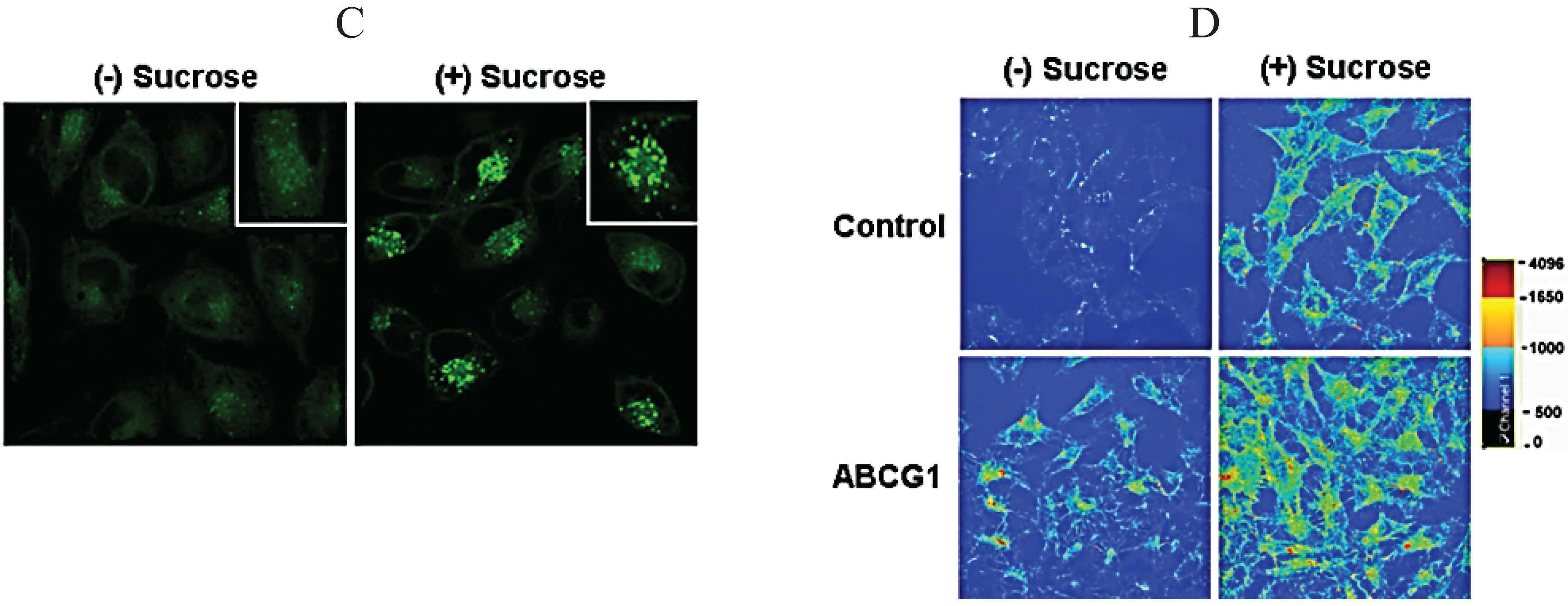 Biology 03 00781 g009b