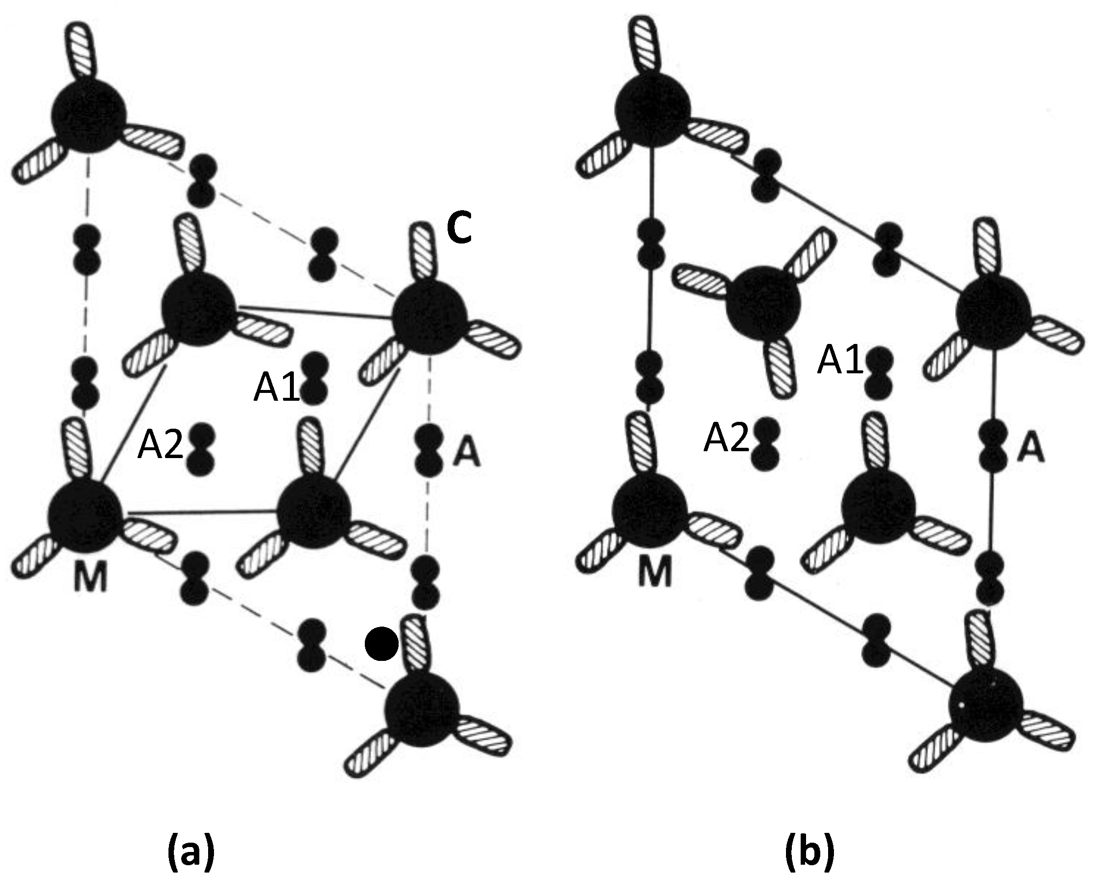 Biology 03 00846 g011