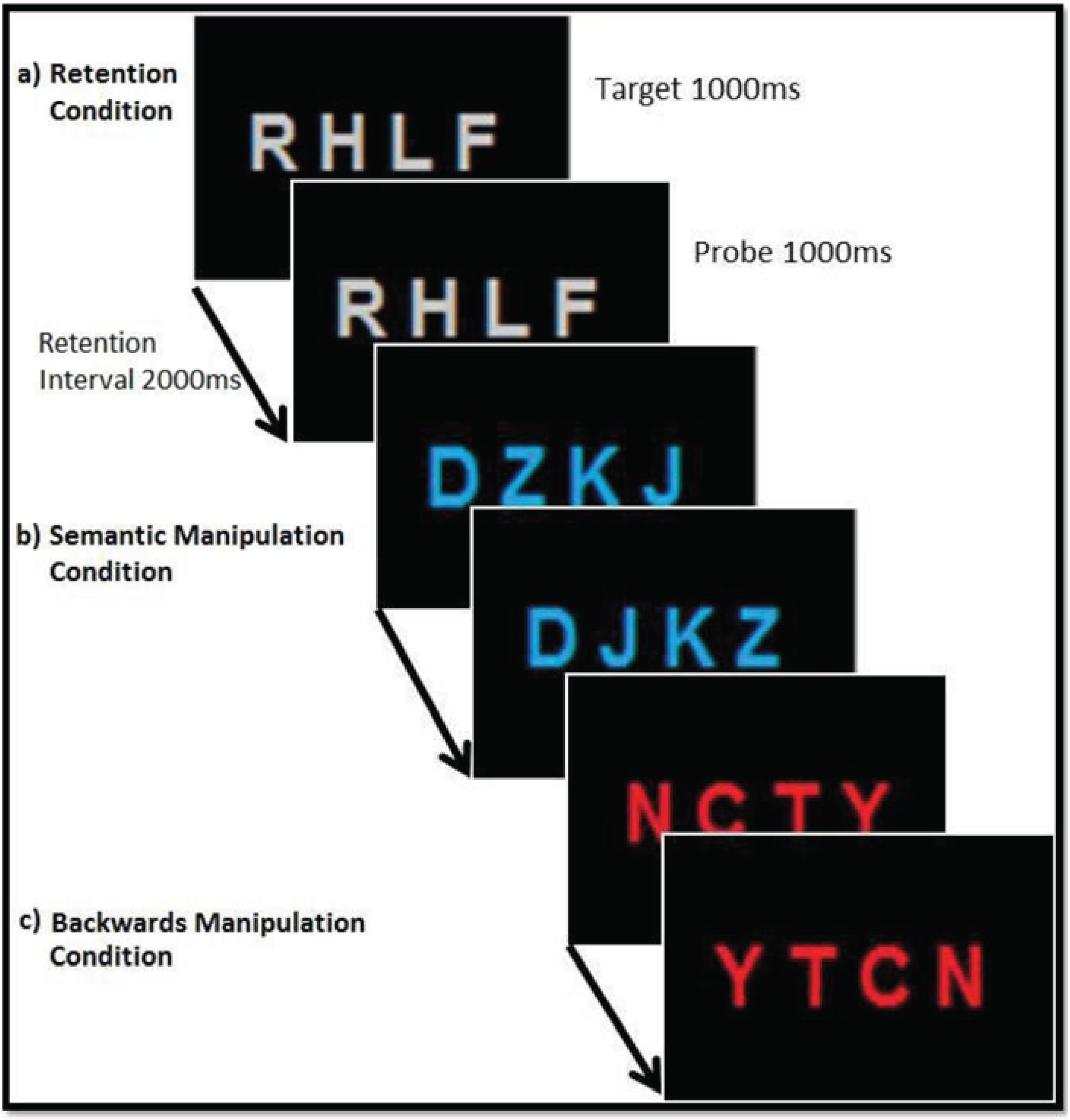 Biology 04 00001 g001