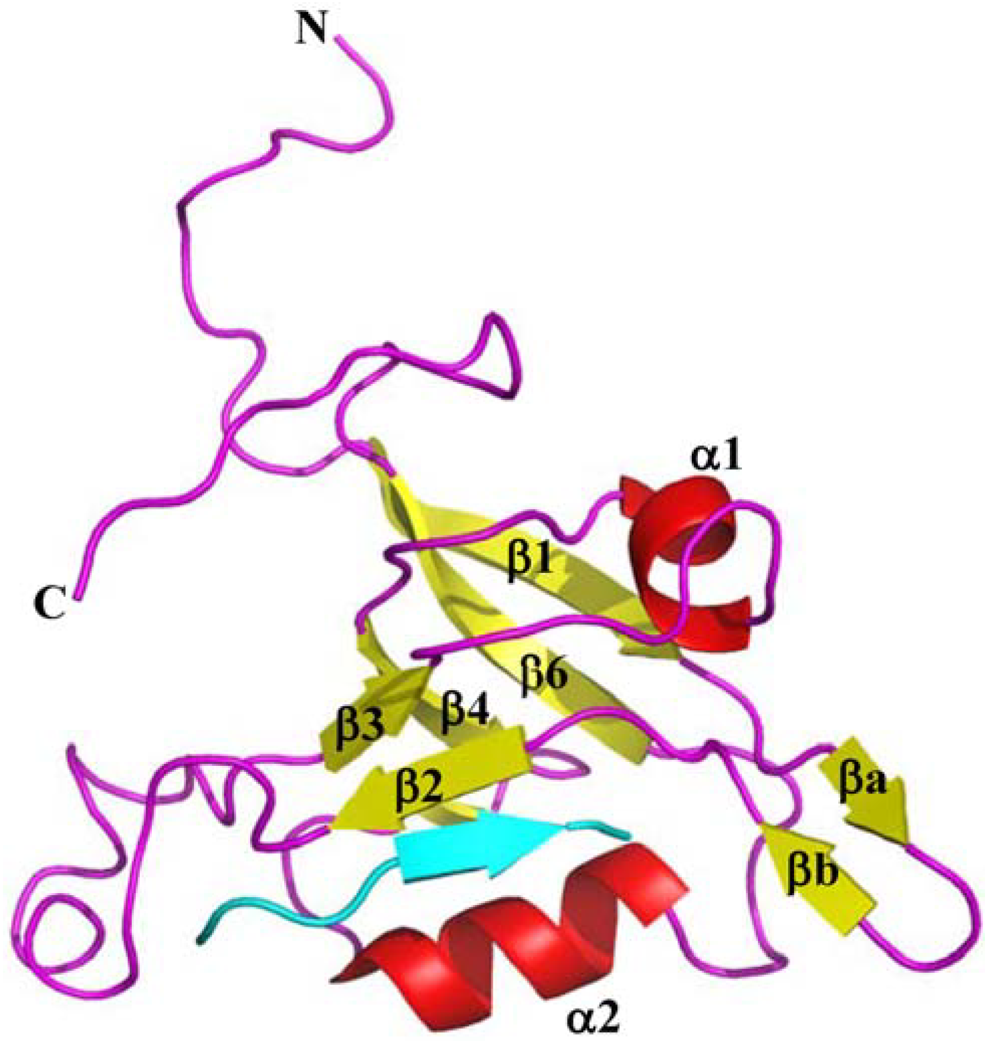 Biology 04 00088 g002 1024