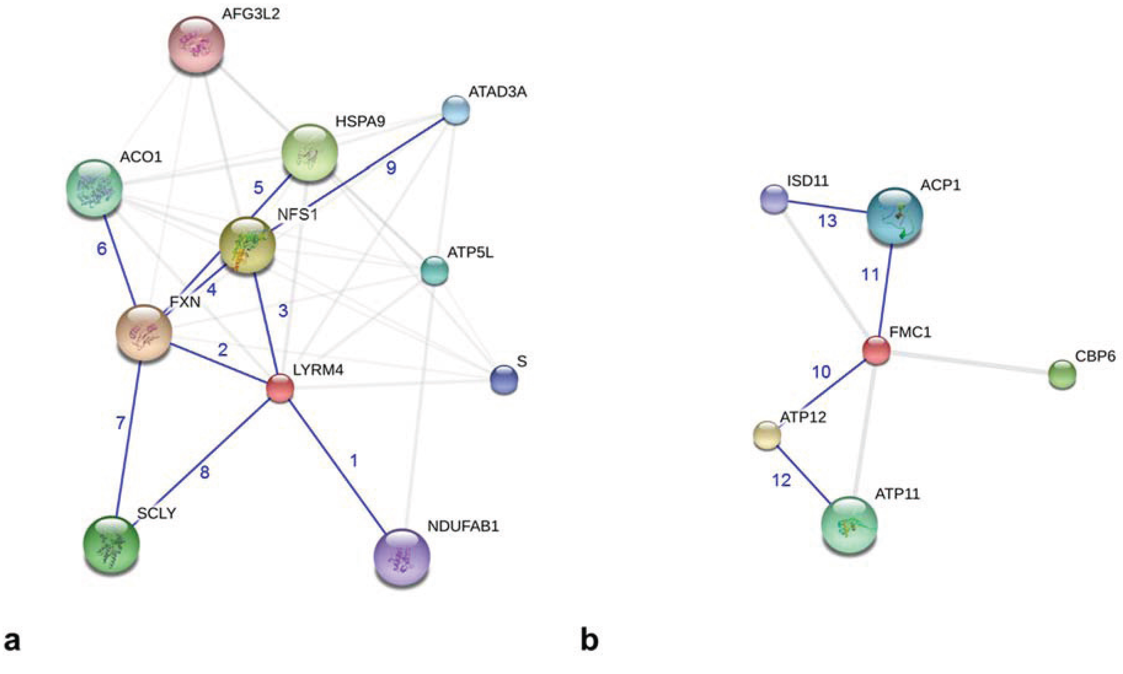 Biology 04 00133 g003