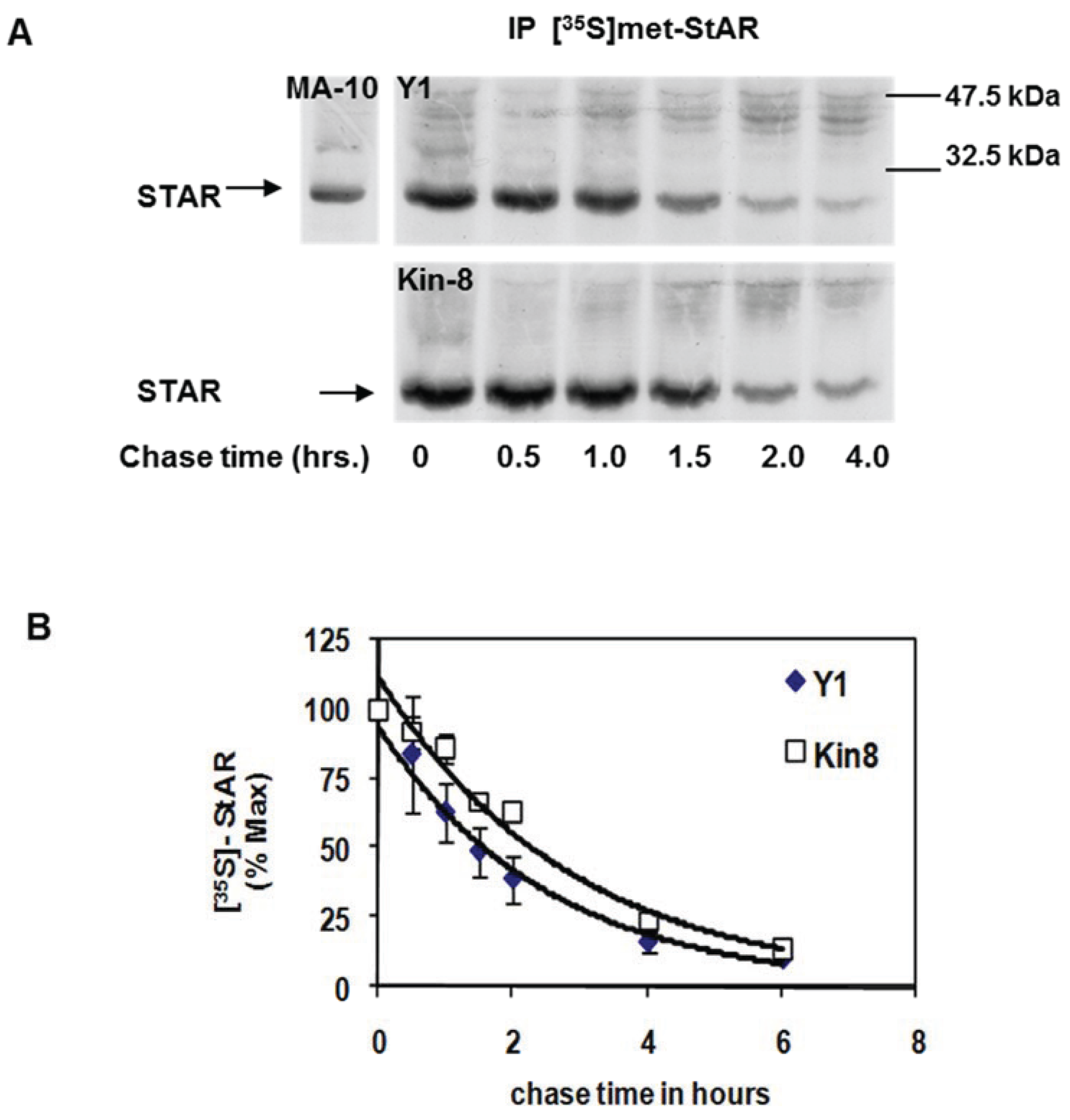 Biology 04 00200 g002 1024