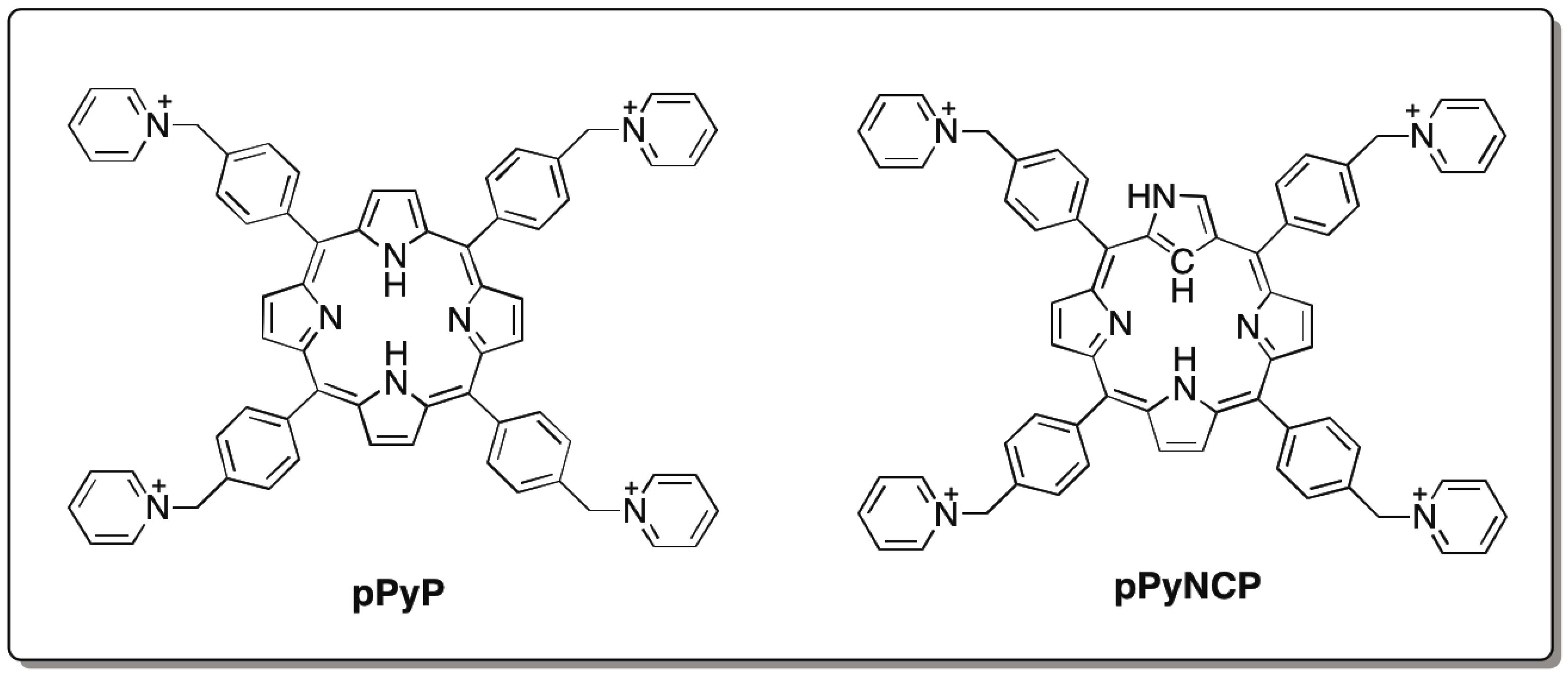 Biology 04 00251 g001 1024