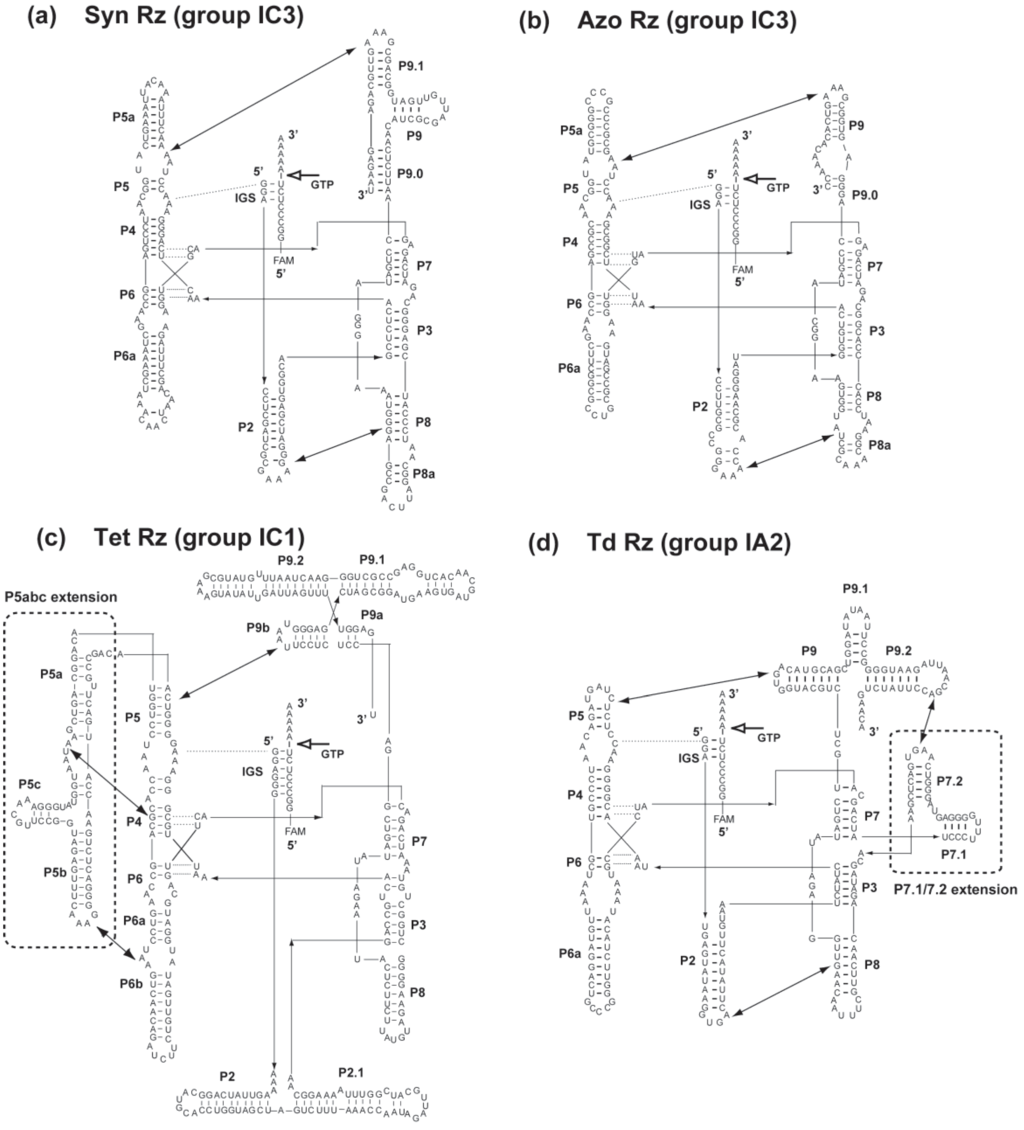 read physics of energy conversion