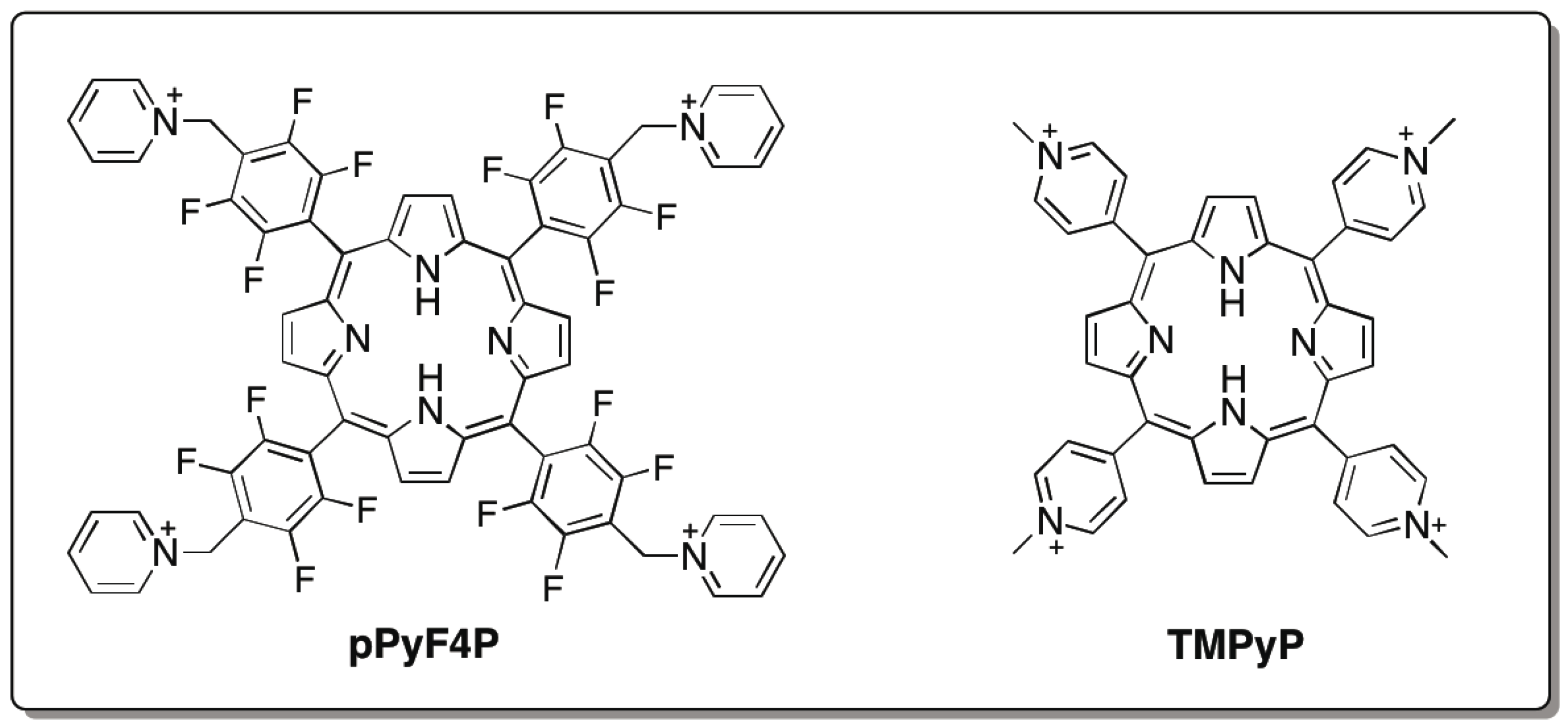 Biology 04 00251 g006 1024