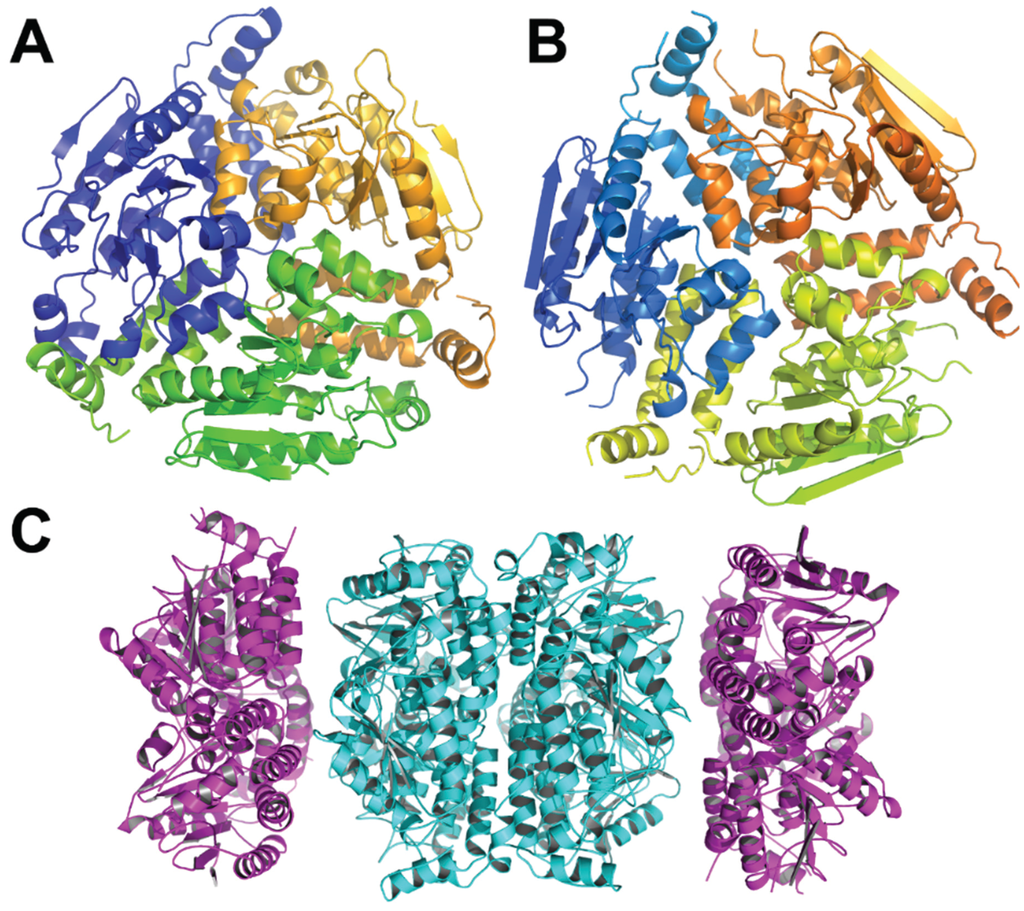 Biology Special Issue ProteinProtein Interactions