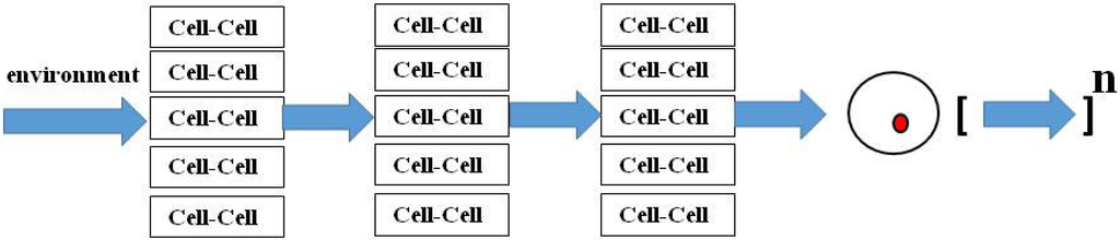 define homeostatic imbalance