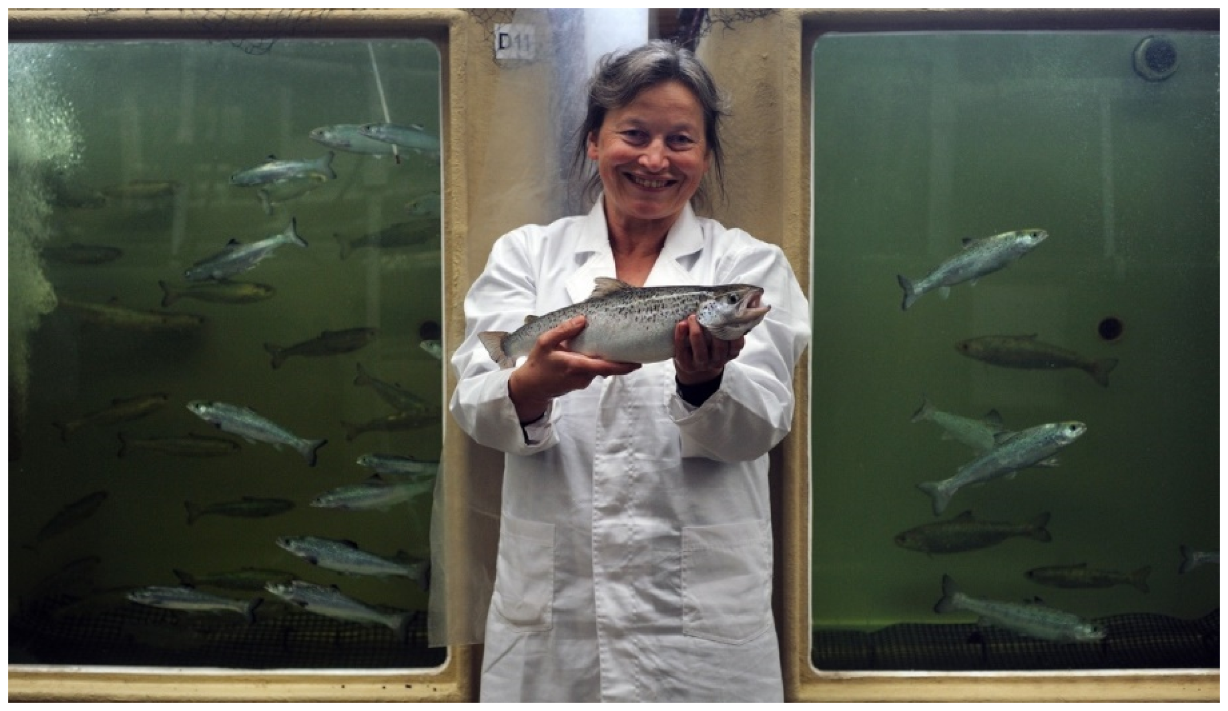 Biology 04 00735 g007