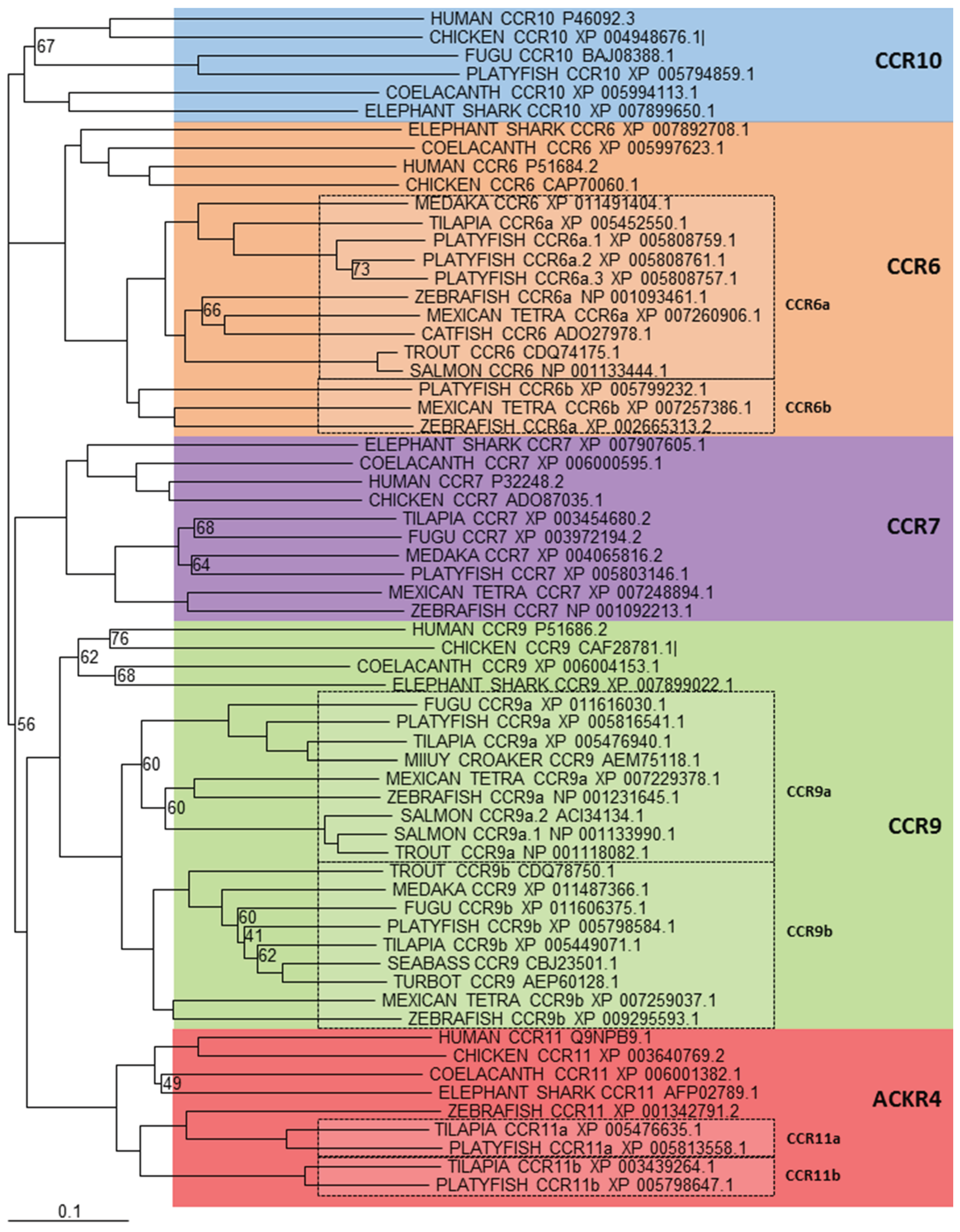 Biology 04 00756 g001 1024