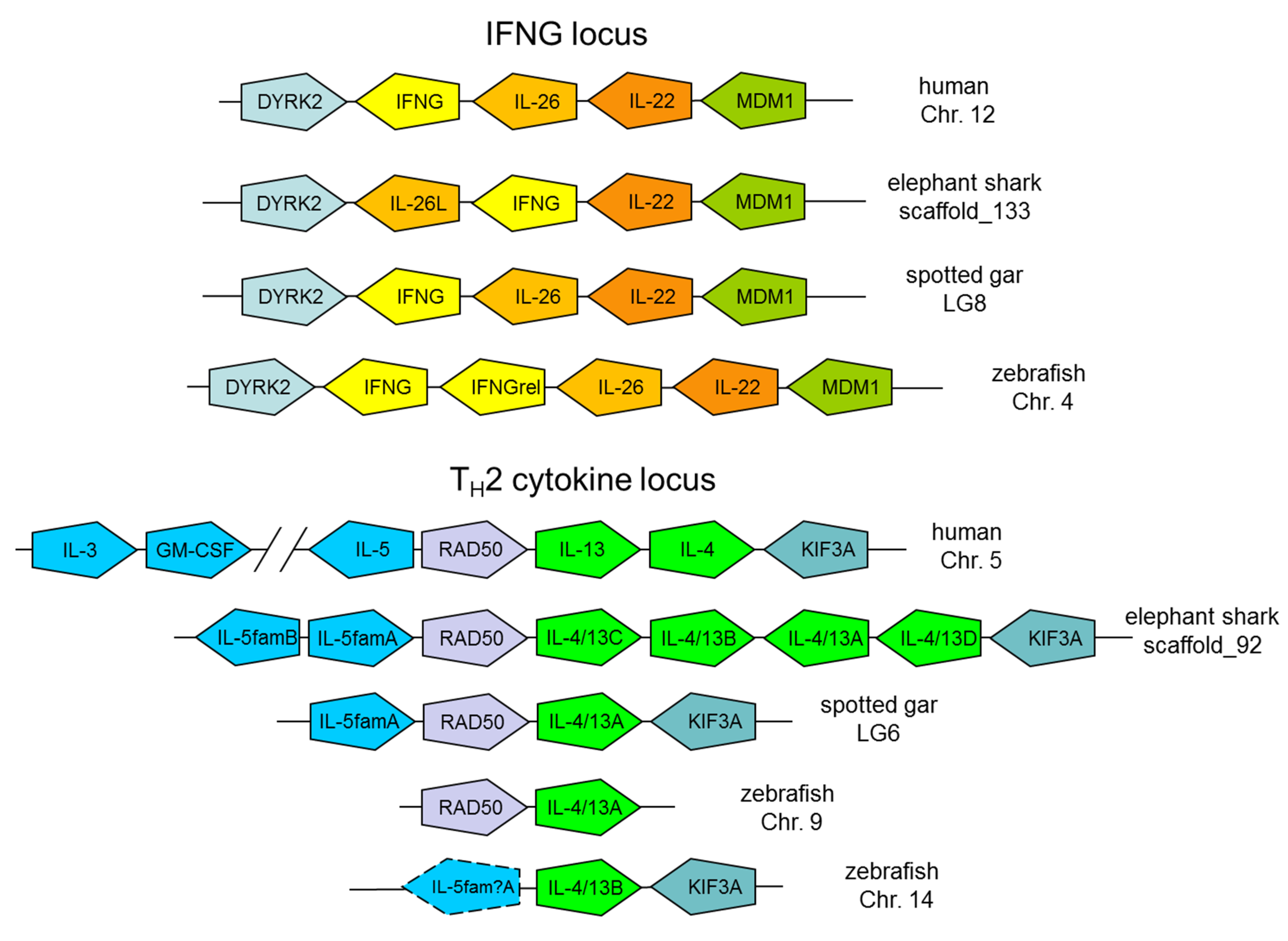 Biology 04 00814 g002
