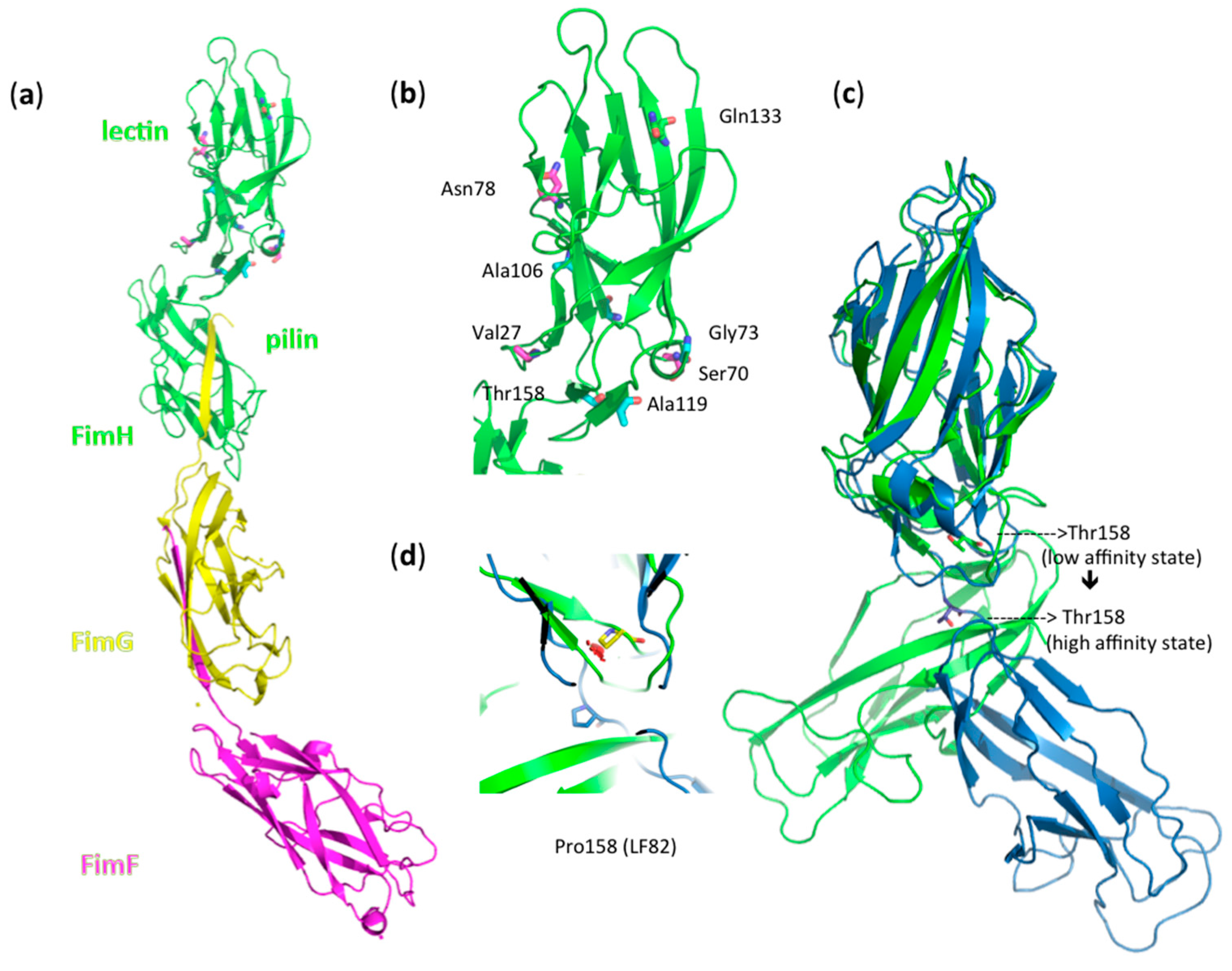 Biology 05 00014 g005
