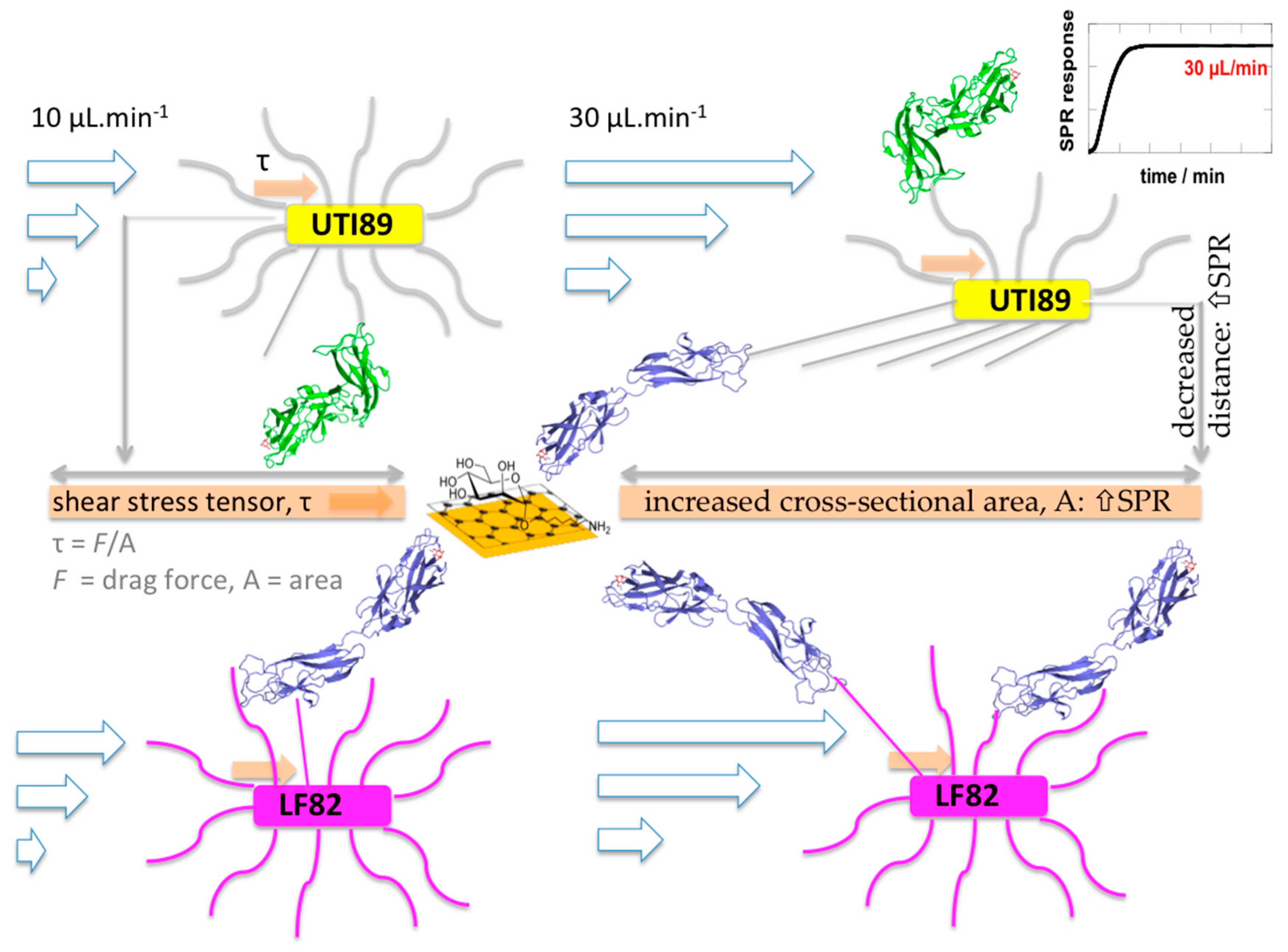 Biology 05 00014 g006