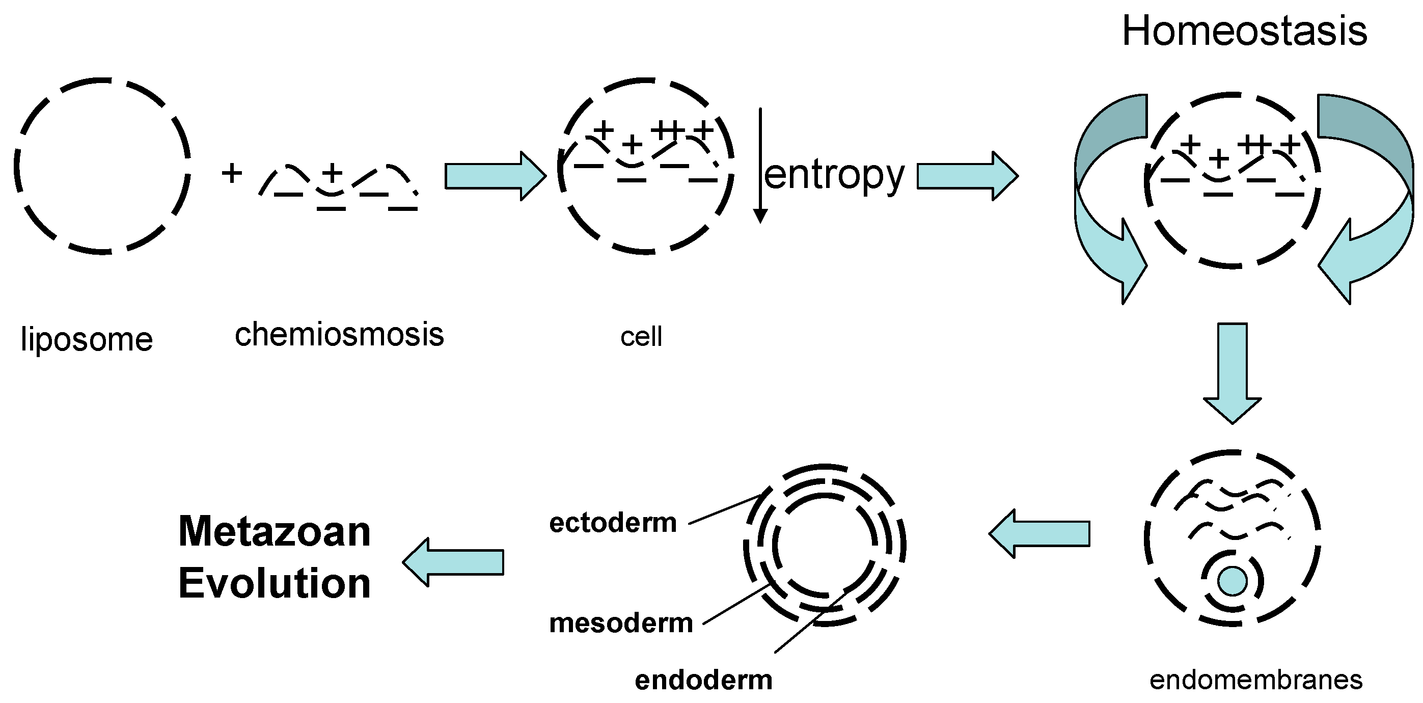 Biology 05 00015 g001