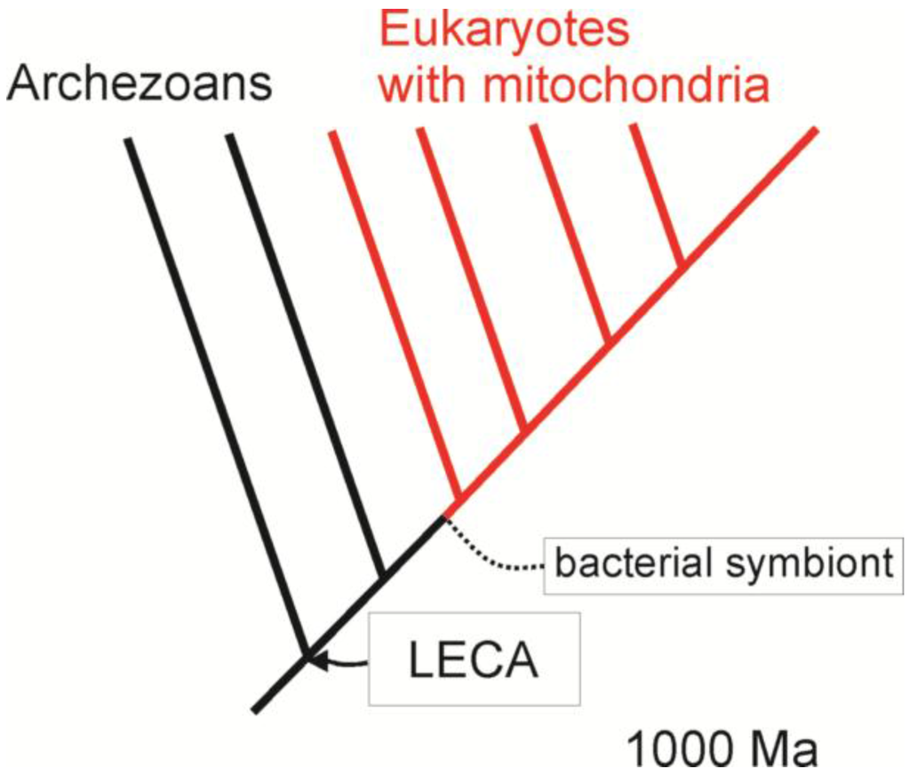 Biology Special Issue Beyond the Modern Evolutionary Synthesis