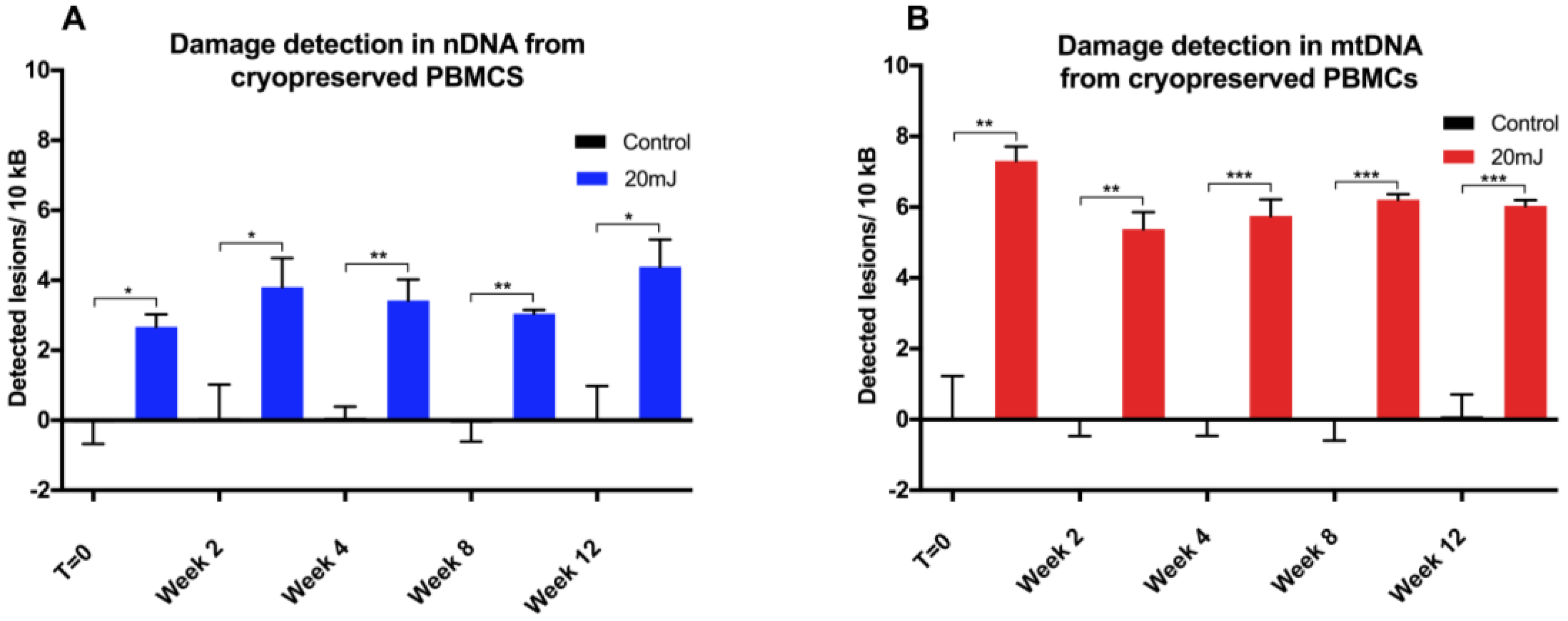 qpcr dna mitochondrial biology damage method application cells