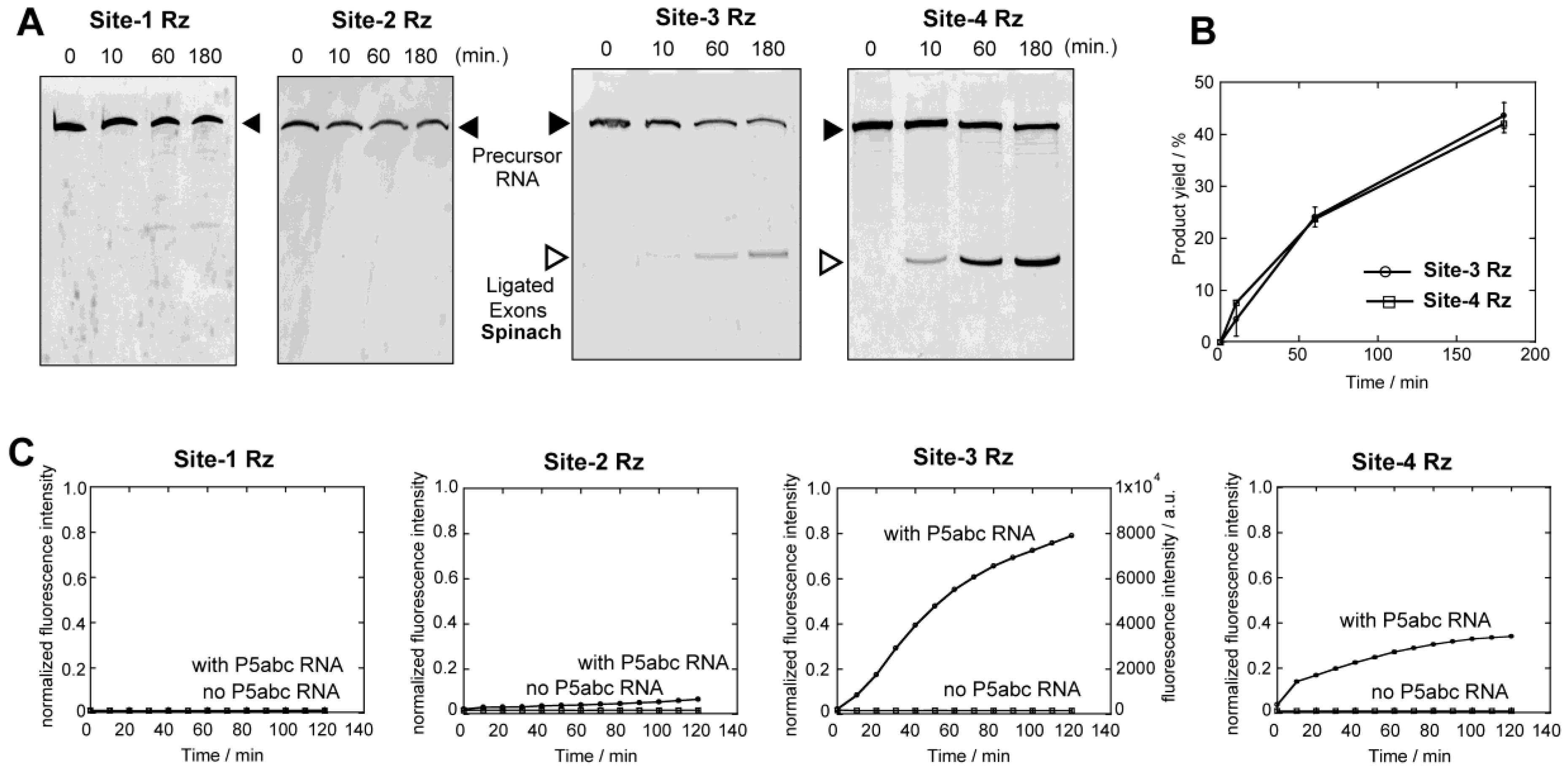 Biology 05 00043 g002