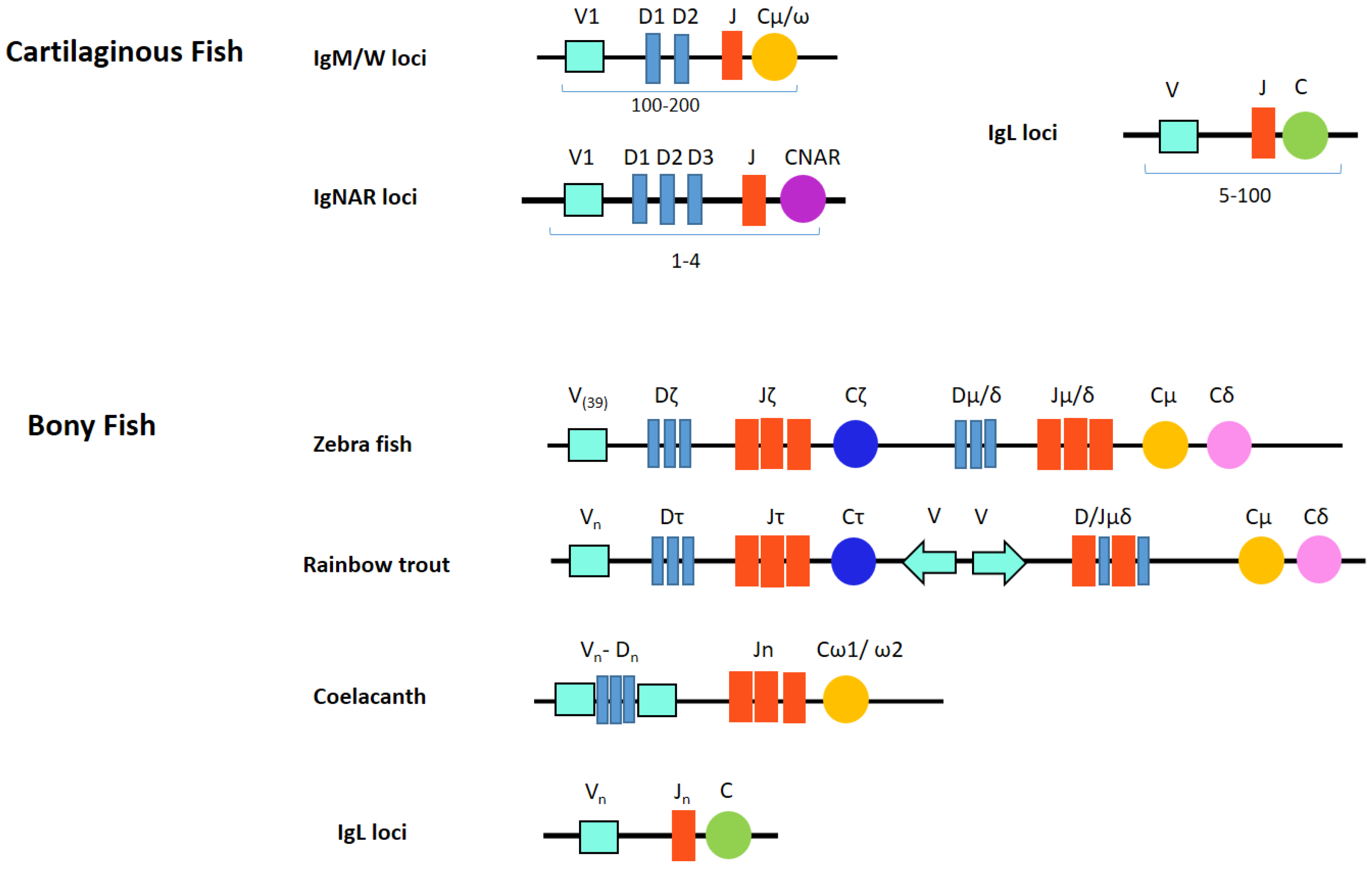 Biology, Free Full-Text