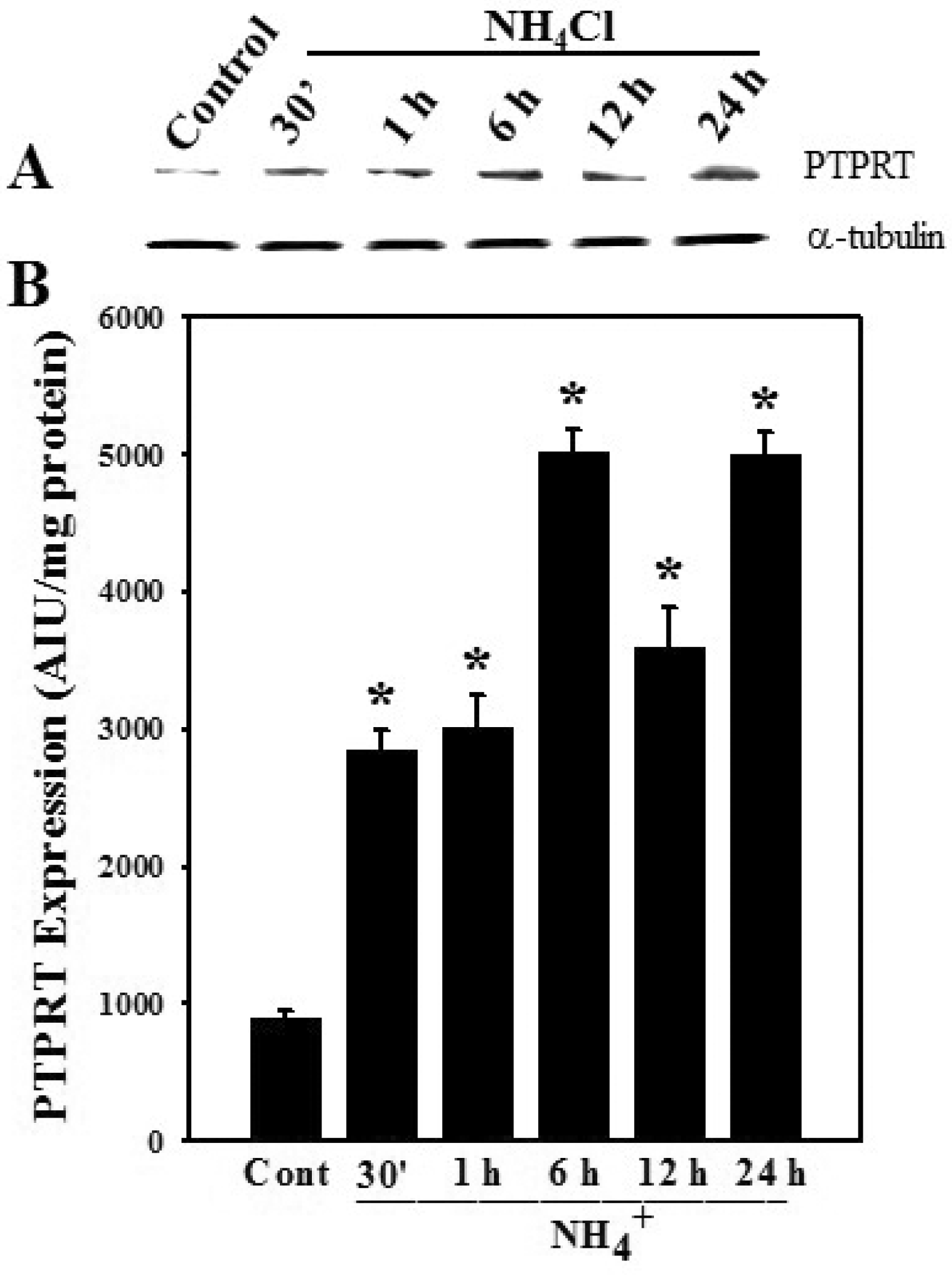 Biology 05 00048 g003