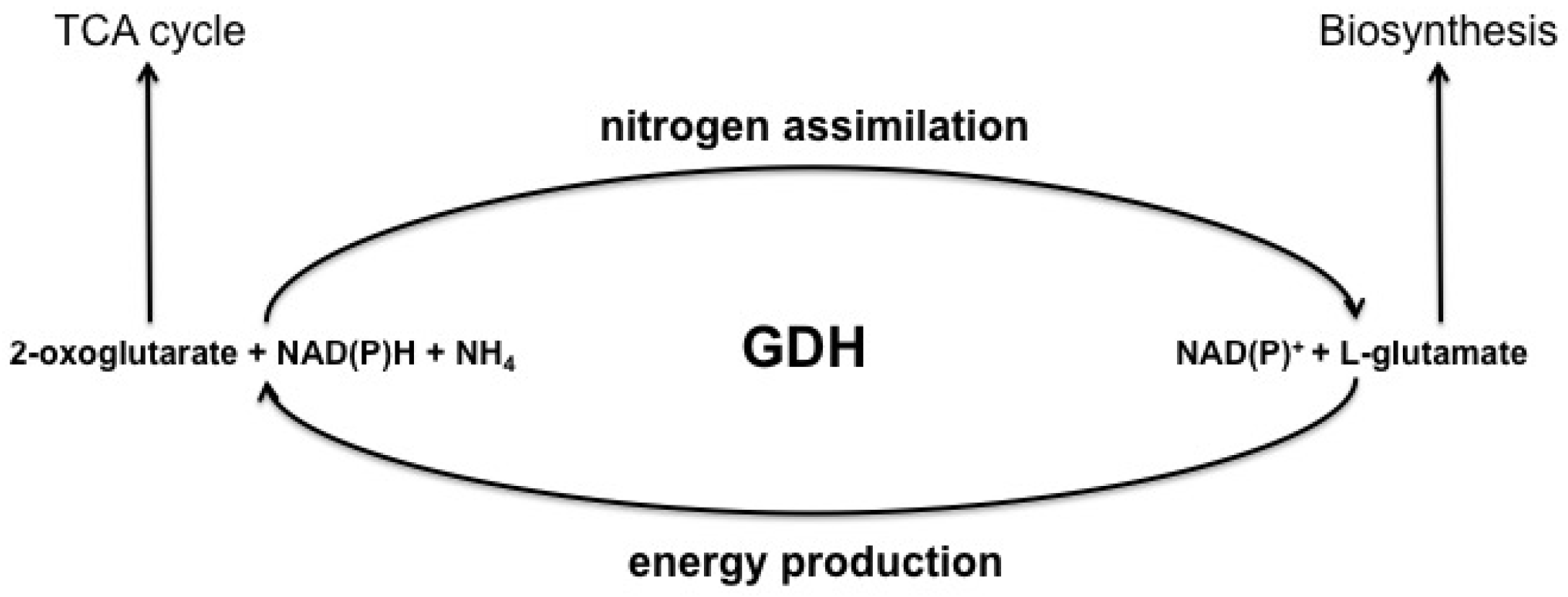 Biology 05 00053 g001