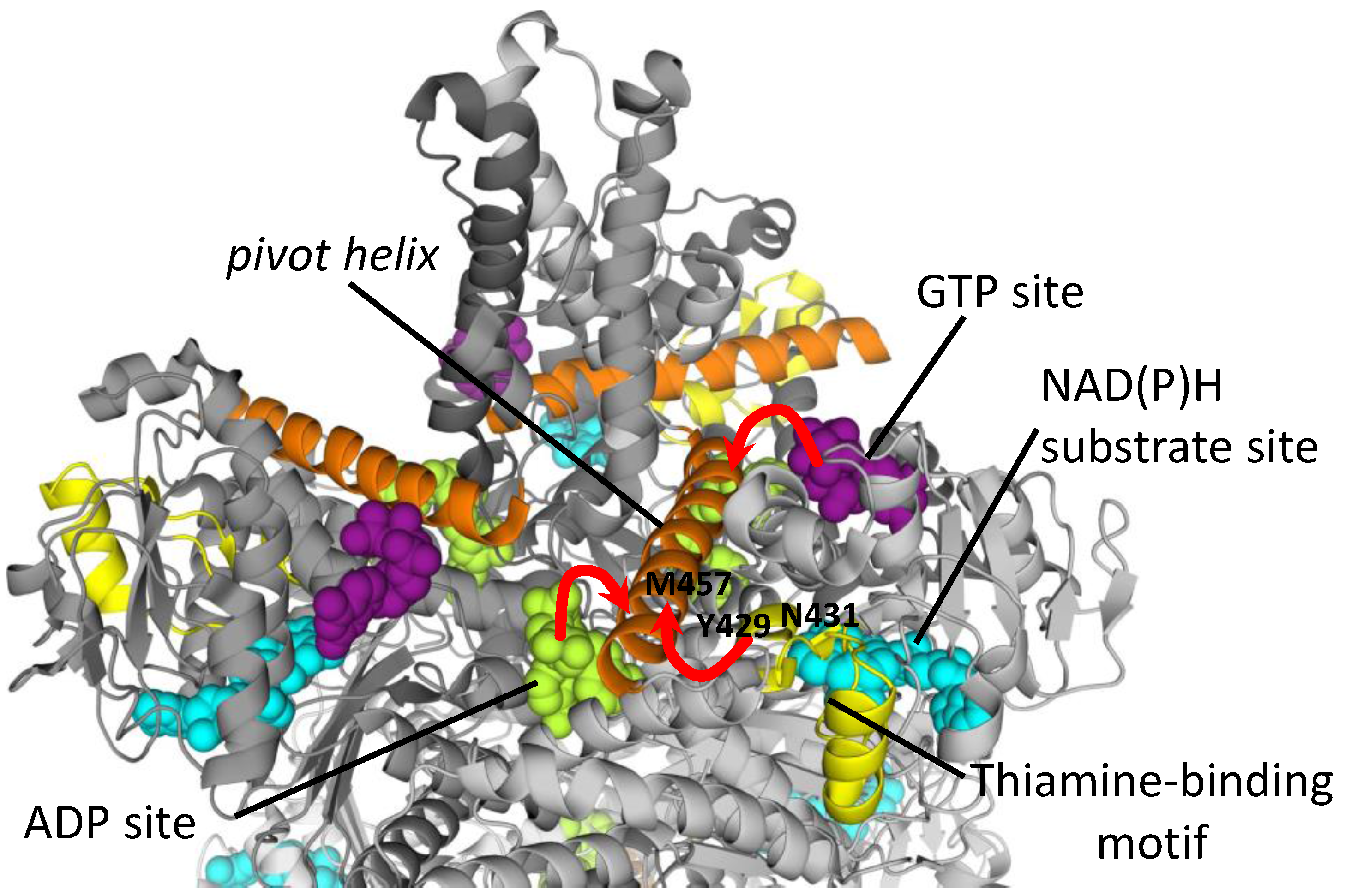 Biology 05 00053 g005