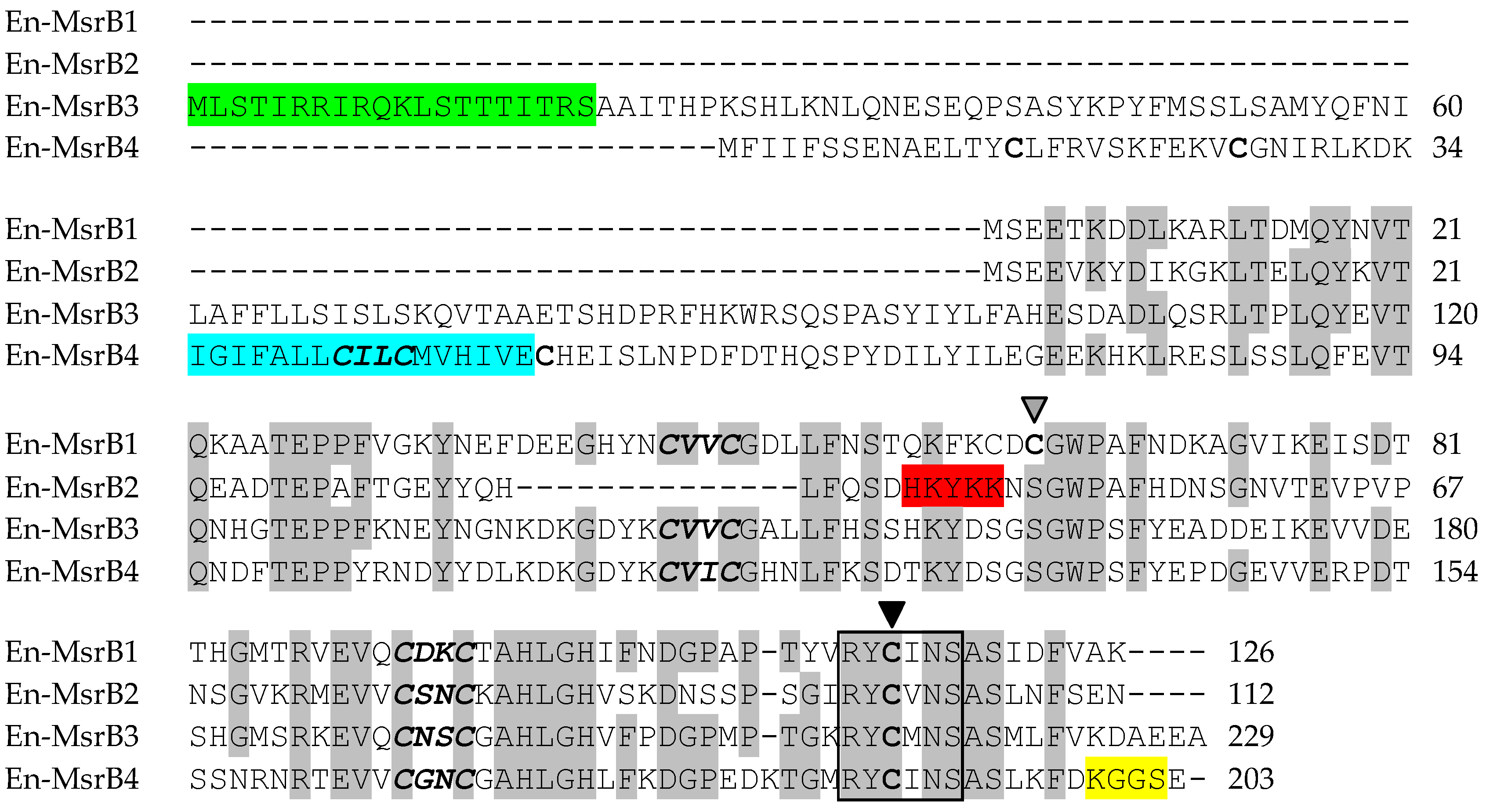Biology 06 00004 g002 550