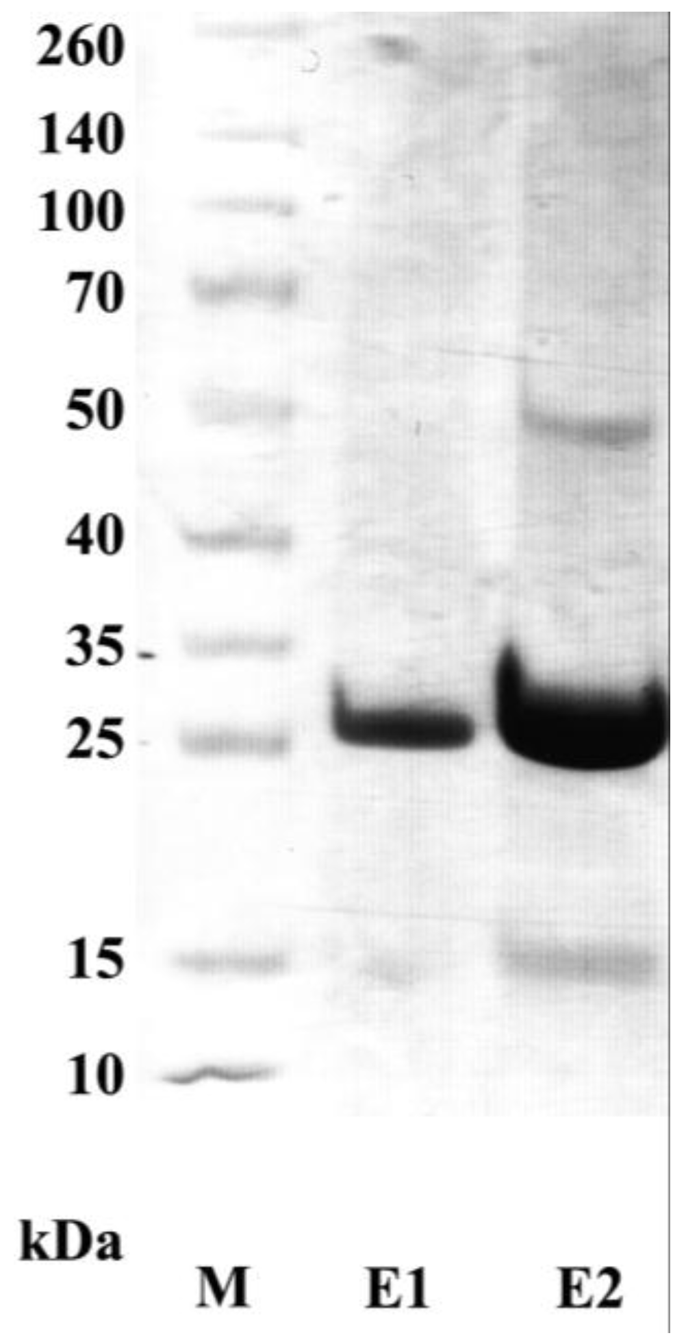 Biology 06 00026 g001