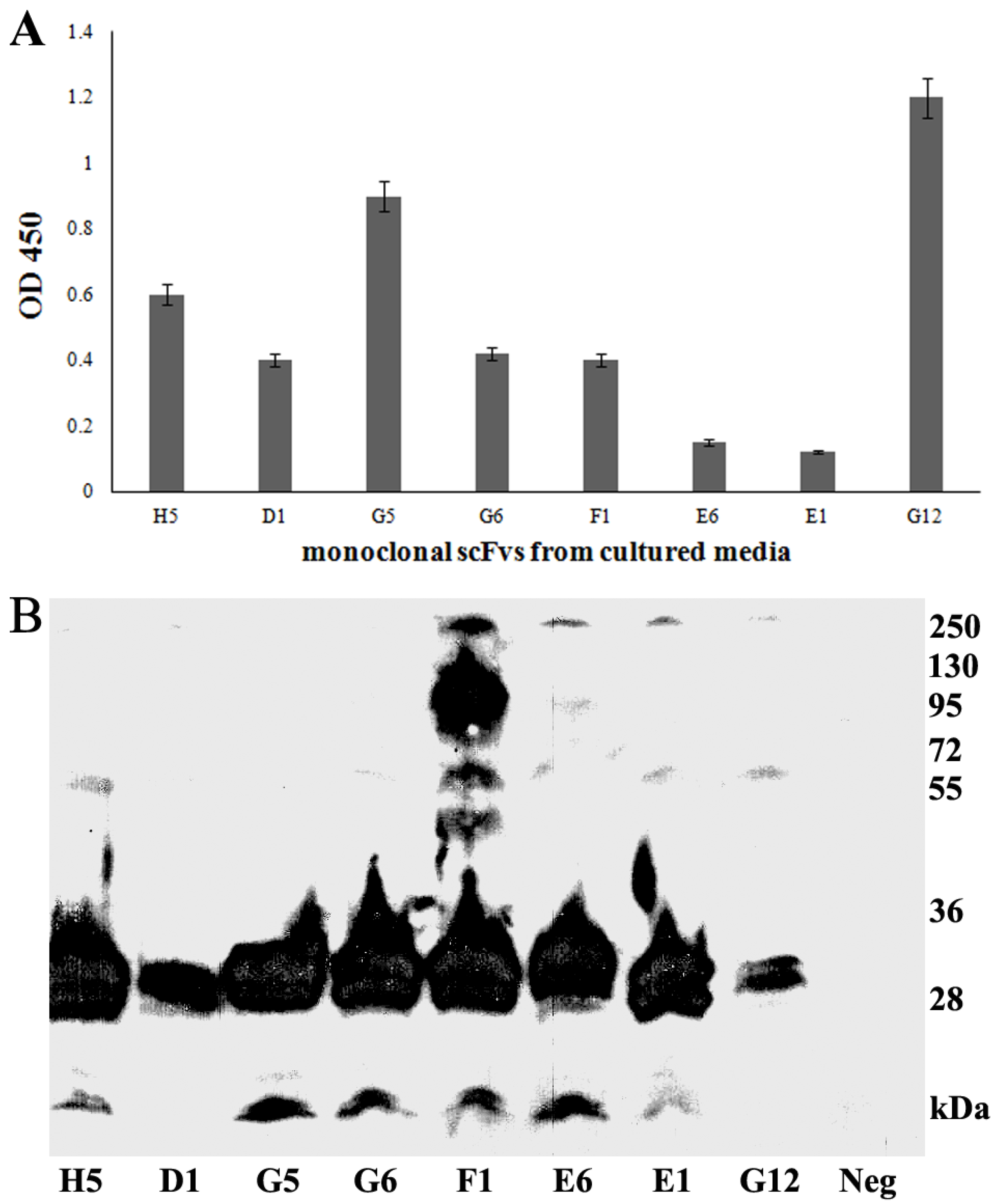 Biology 06 00026 g002