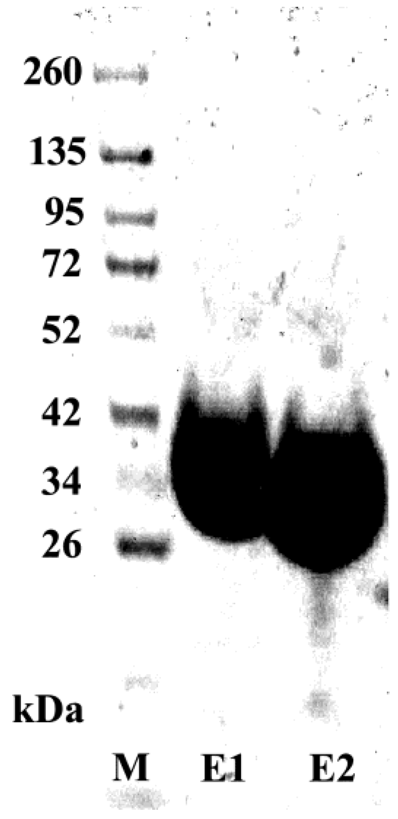 Biology 06 00026 g004