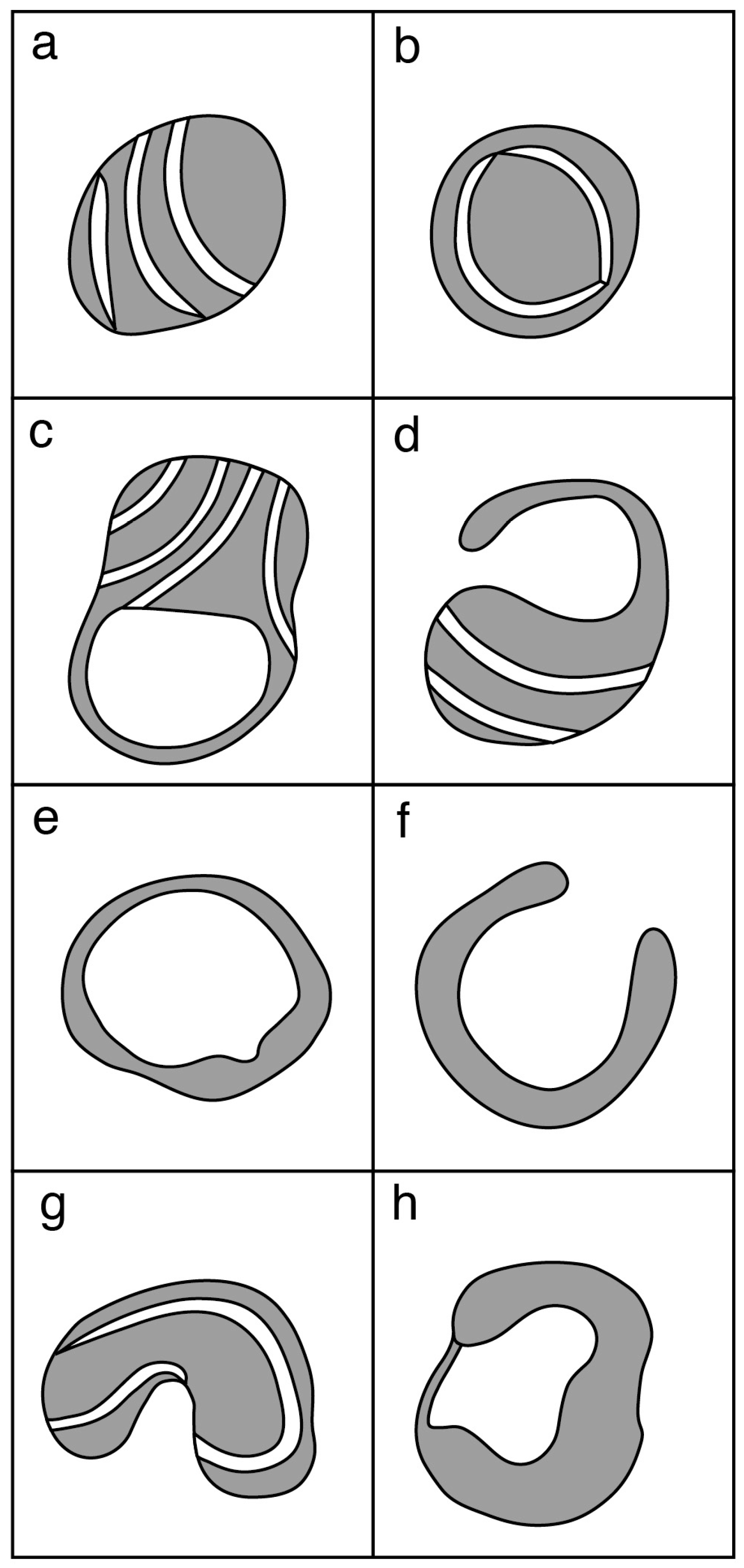 Biology 06 00035 g002