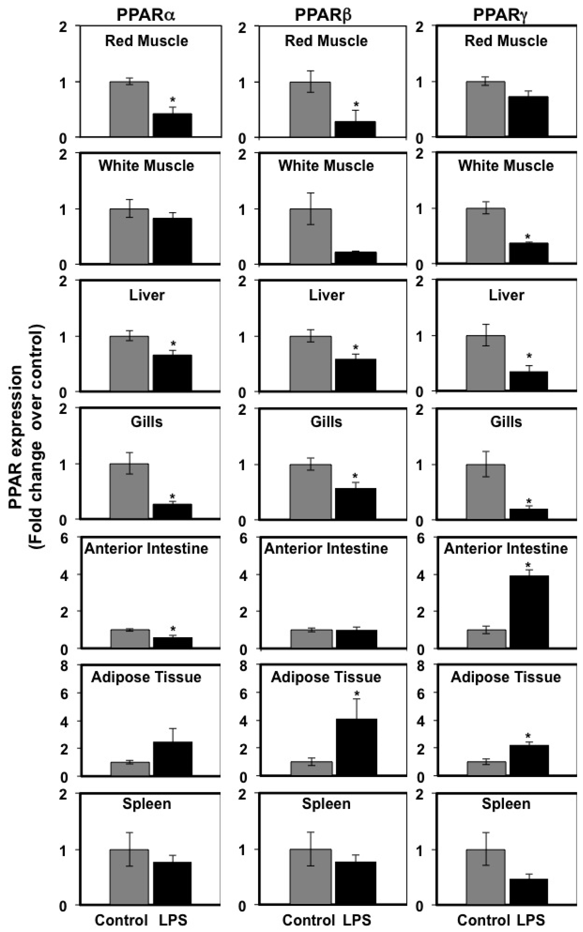 Biology 06 00036 g002