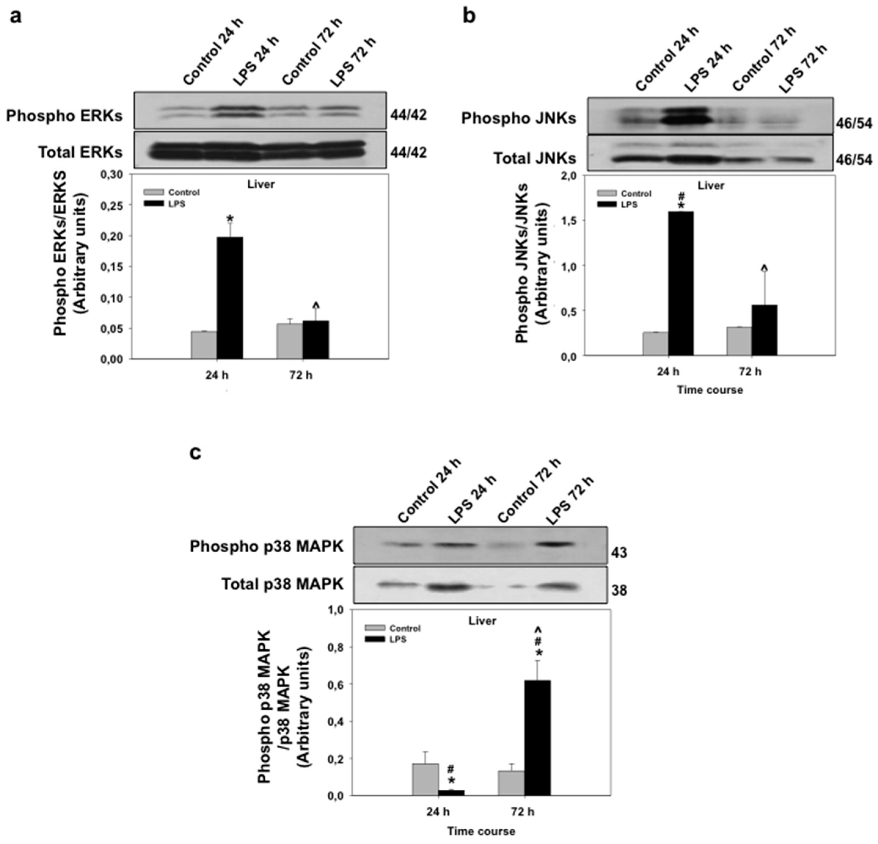 Biology 06 00036 g006