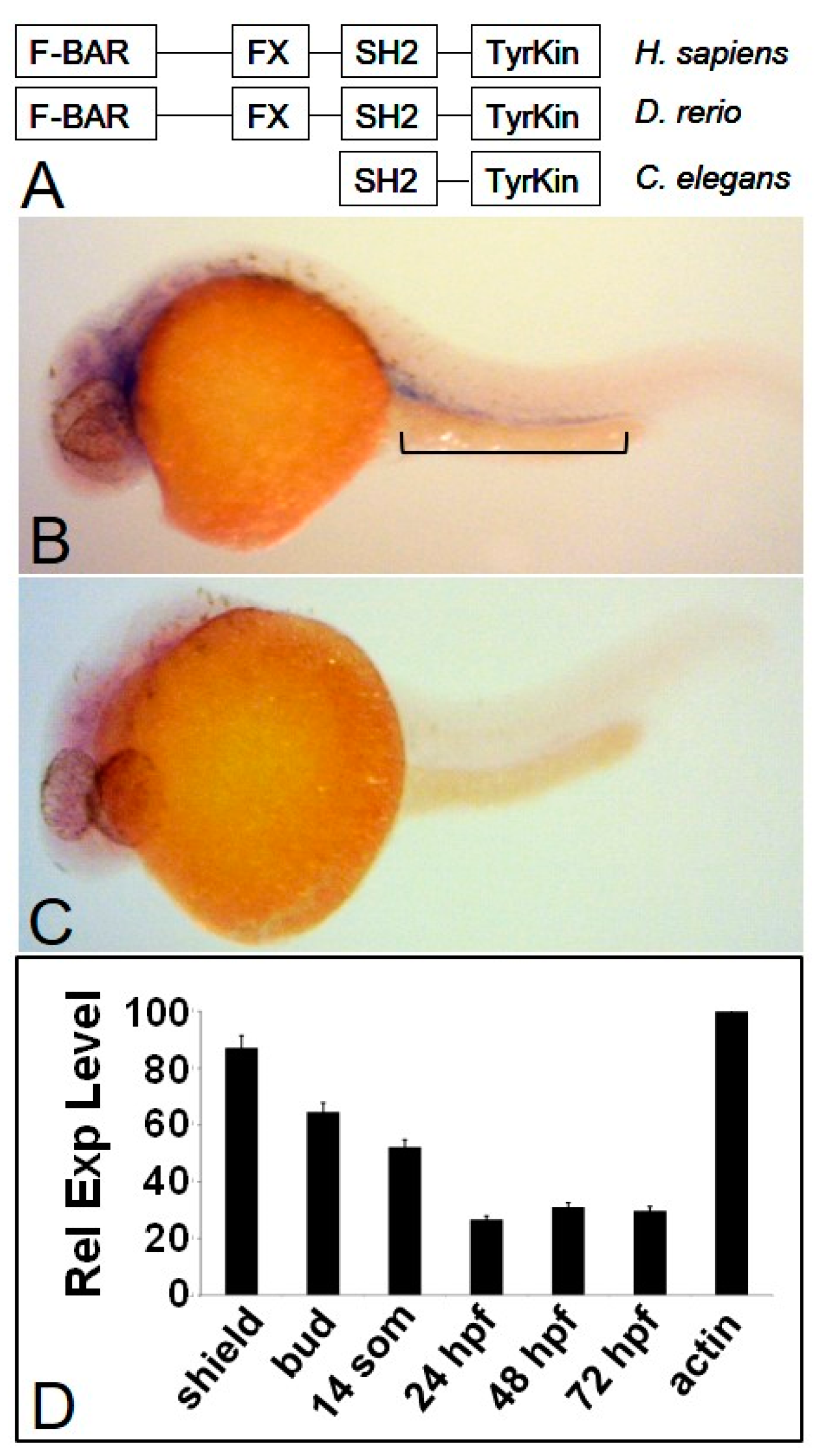 Biology 06 00040 g001