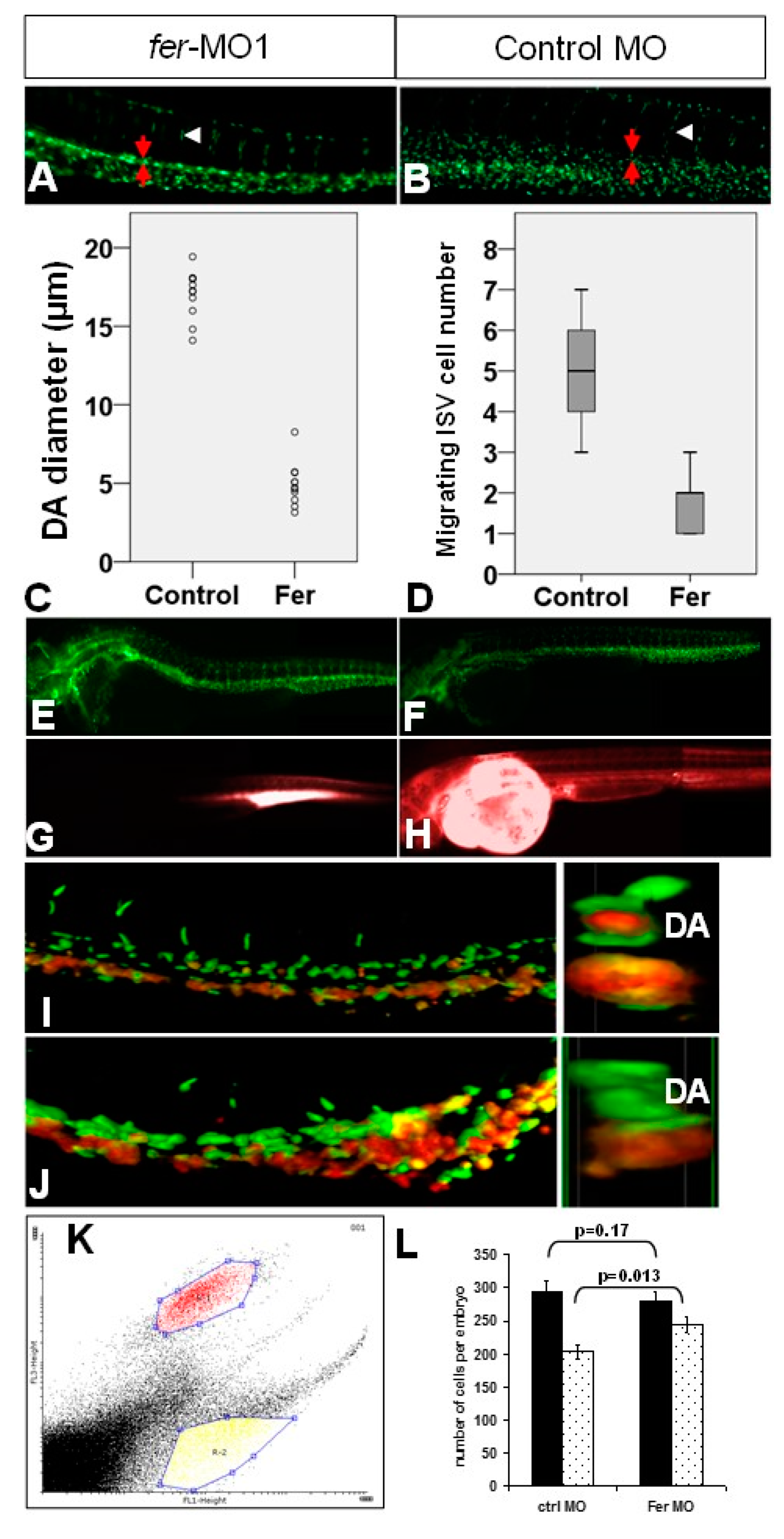 Biology 06 00040 g005