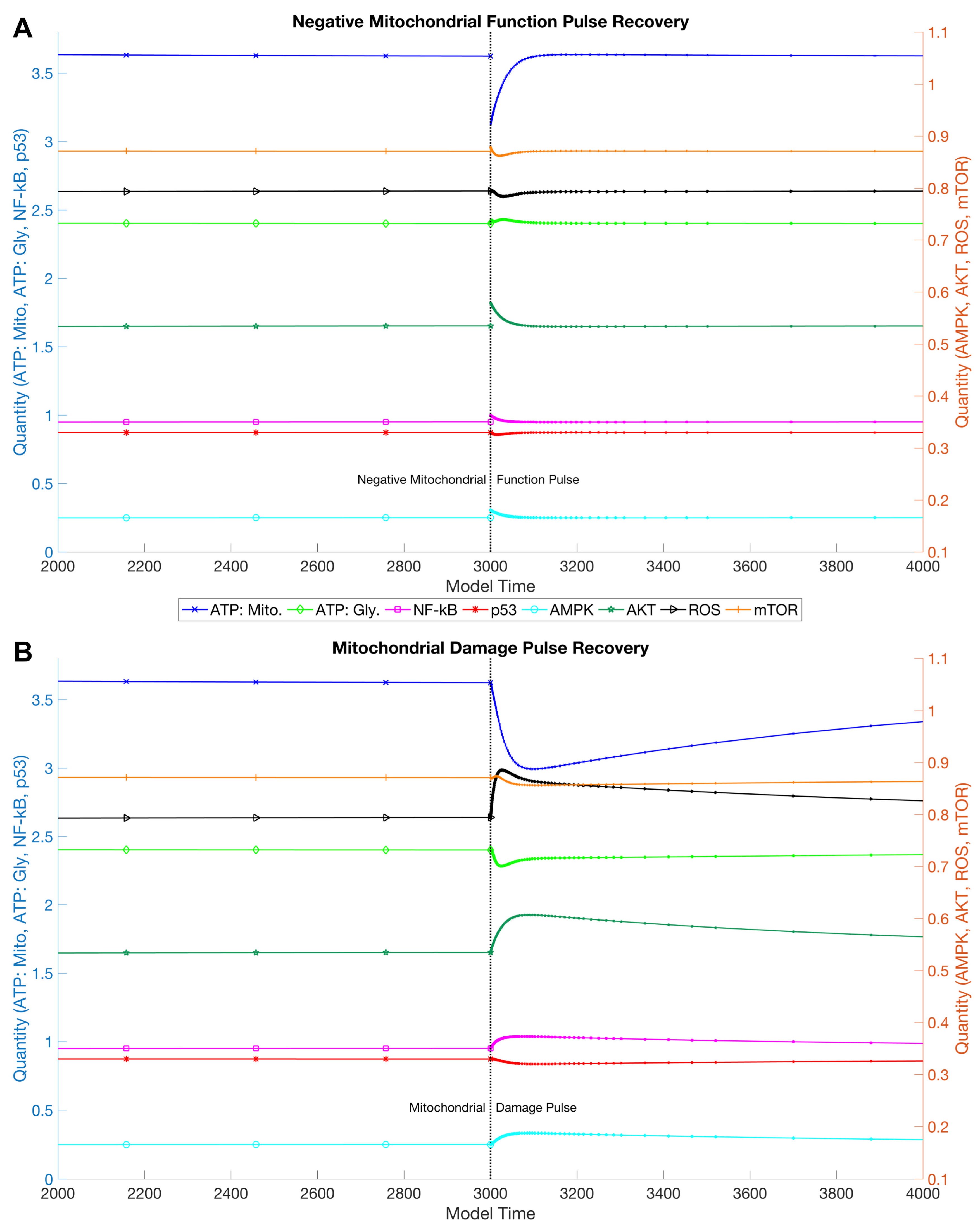 Biology 06 00044 g002